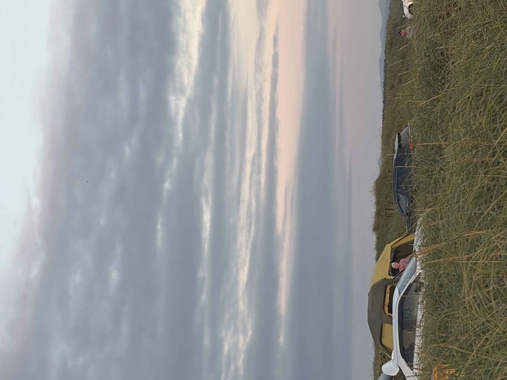 This is an outdoor, eye-level, medium shot photograph taken in the city of Ozerskoe, Russia. The image captures a campsite with two vehicles and a tent situated amidst tall grass. The sky, filled with a mix of gray and pinkish clouds, suggests either early morning or late evening.
In the foreground, a white car is parked. Its driver's side door is open, and a person with gray hair, wearing a pink shirt, is visible inside, possibly interacting with the vehicle or the tent. Behind the white car, a large tent with a yellow and dark green color scheme is pitched.
To the right of the tent, a black SUV is partially obscured by the tall grass. Further to the right, another vehicle, possibly white, is visible in the distance, along with a person standing near it. In the far background, a hilly landscape is discernible against the horizon. The overall scene depicts a group camping in a natural, grassy environment.