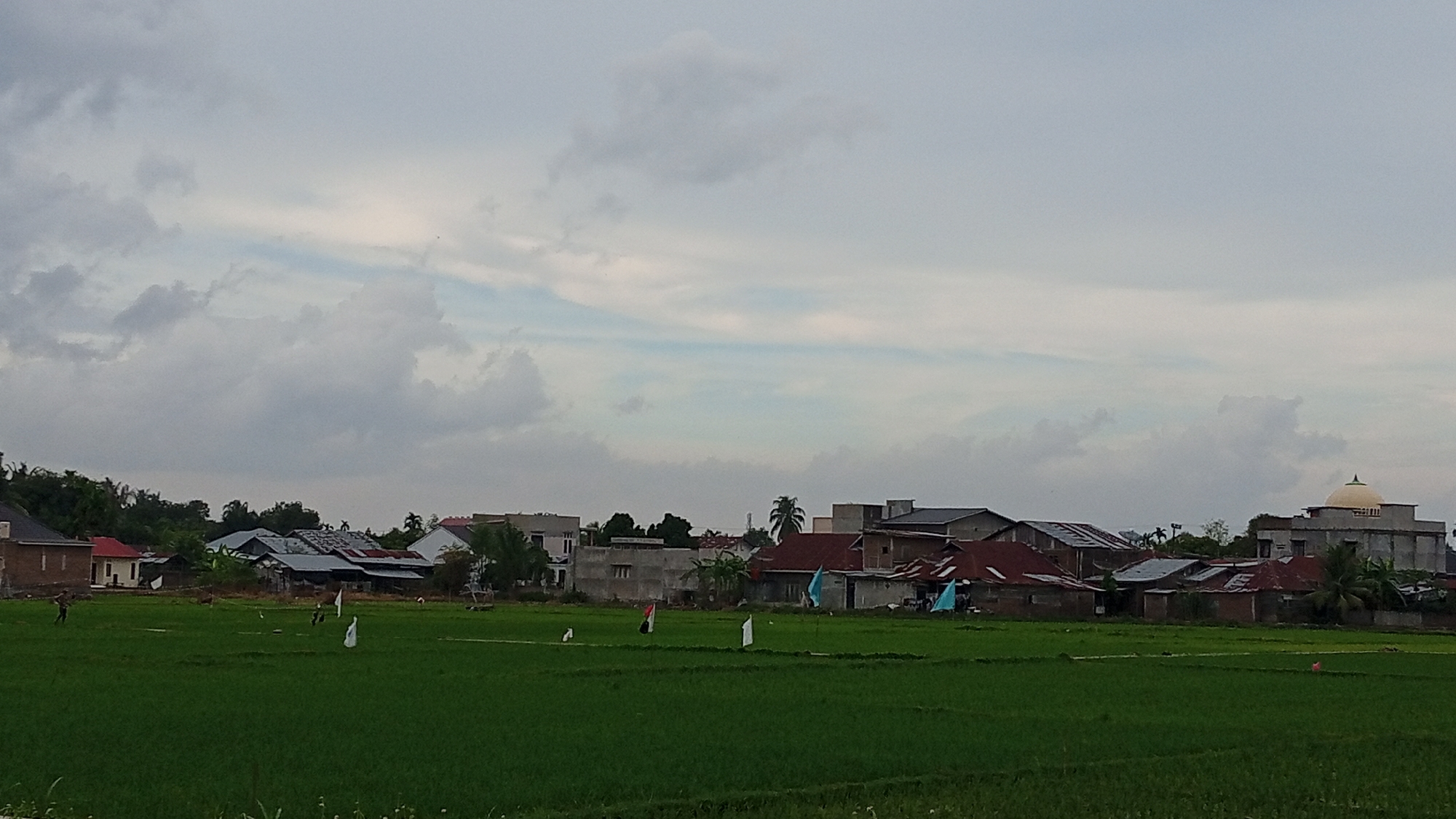 A wide-angle, eye-level view captures a residential area adjacent to a vibrant green rice paddy field in Geulangganggampong, Indonesia. The sky is overcast with scattered clouds, suggesting a diffused light.
In the foreground, the lush green rice paddy dominates the lower half of the image. Several white and blue flags are intermittently placed throughout the field, some appearing to be attached to poles. In the far left of the field, a solitary figure is visible, appearing to walk.
Behind the rice paddy, a collection of houses and buildings stretches across the middle ground. These structures vary in architectural style, with some featuring red tile roofs and others with corrugated metal roofing. A few taller, more modern buildings are present on the right side of the frame, including one with a prominent beige dome. Trees and vegetation are interspersed among the buildings.
The overall scene depicts a blend of rural and developing urban landscape, with the agricultural field meeting a growing residential zone under a cloudy sky.