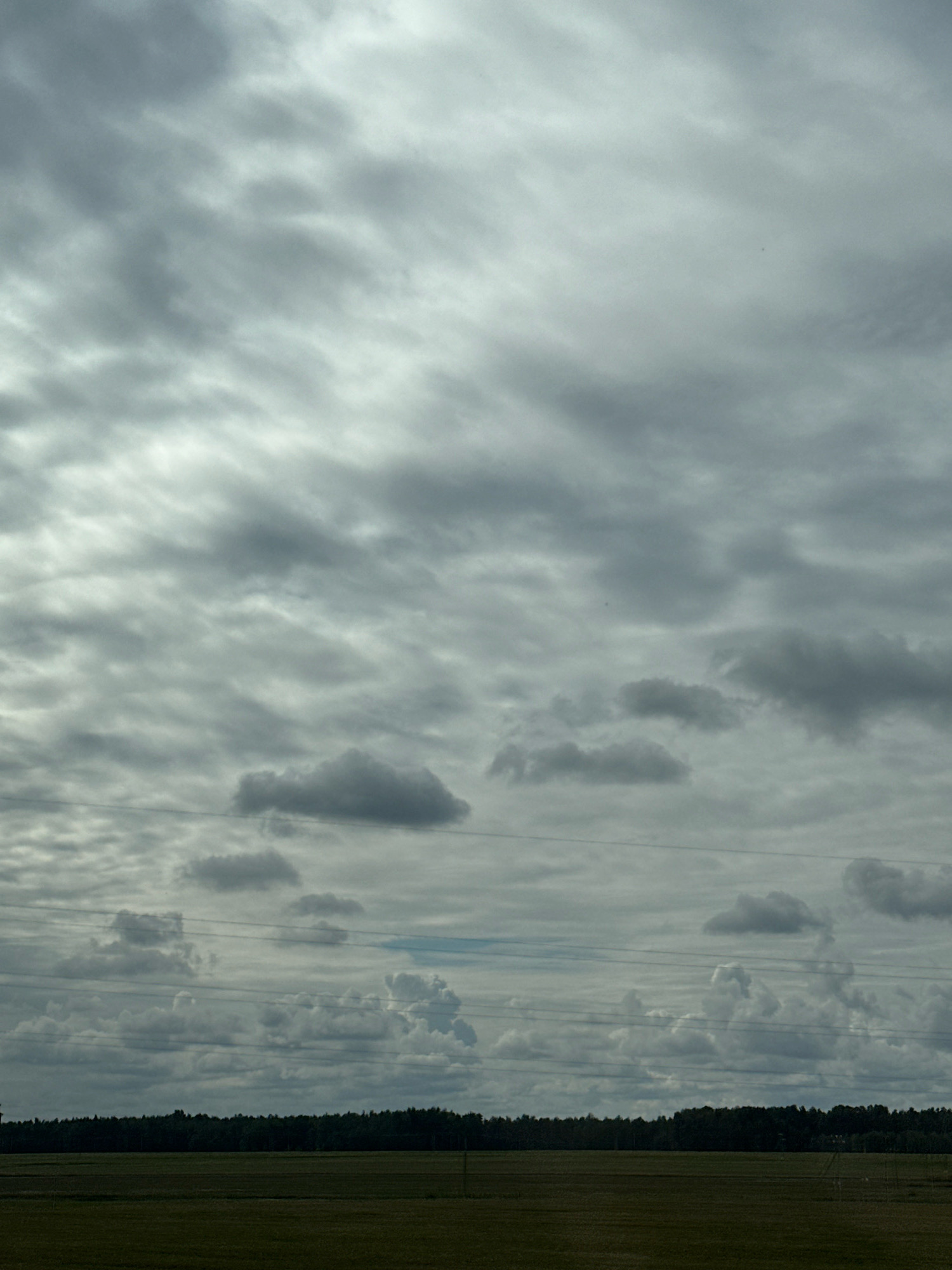 The image depicts a cloudy sky over a rural landscape. The sky is filled with an overcast of various shades of gray clouds, with some lighter patches suggesting breaks in the cloud cover. Several horizontal power lines are visible crisscrossing the sky at different heights. Below the sky is a dark green expanse of trees forming a dense forest line. In front of the forest, there is a field of grass or low-lying crops, appearing in a darker green or brown hue. The overall impression is of a subdued, possibly overcast day in a rural setting in Сычкаўскі сельскі Савет, Belarus. There are no people or animals visible in the image.