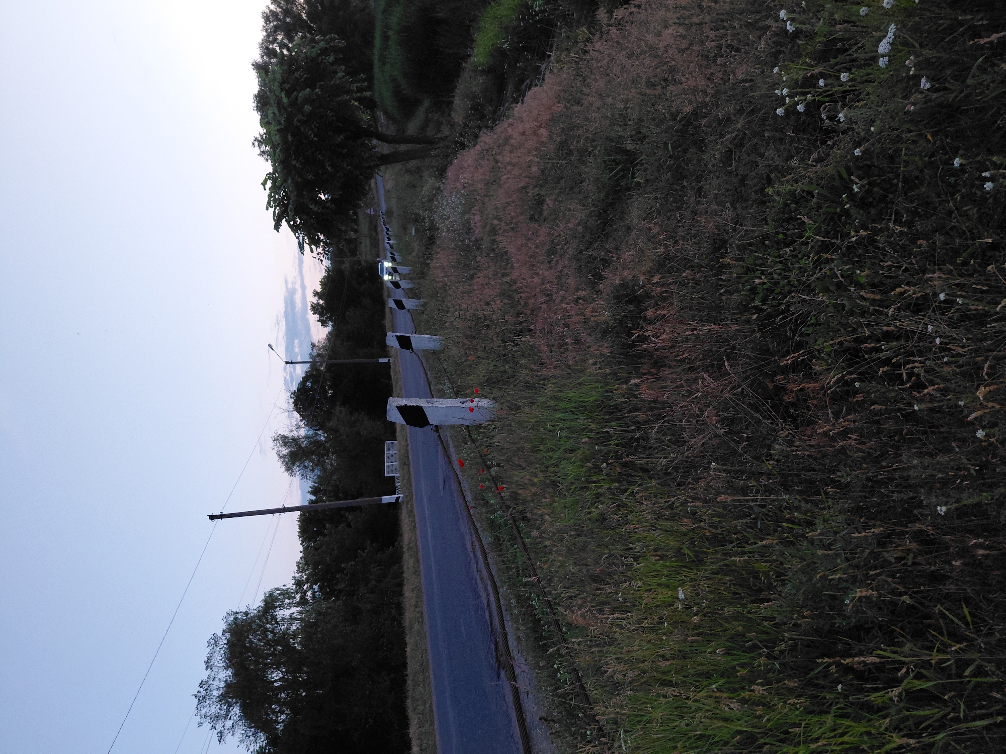 An asphalt road runs diagonally from the lower left to the upper right of the image, bordered by a grassy verge and a wire fence. Several concrete posts with black and white markings line the side of the road, some of which have red poppies growing near them. Beyond the road, a dense line of trees forms the background, with a utility pole visible on the left. A street lamp and a signpost are also present. In the distance, a white car with its headlights on drives along the road. The sky is a gradient of pale blue and twilight hues. The scene appears to be on the outskirts of Ustyvytsia, Ukraine, given the presence of rural vegetation and characteristic roadside infrastructure.