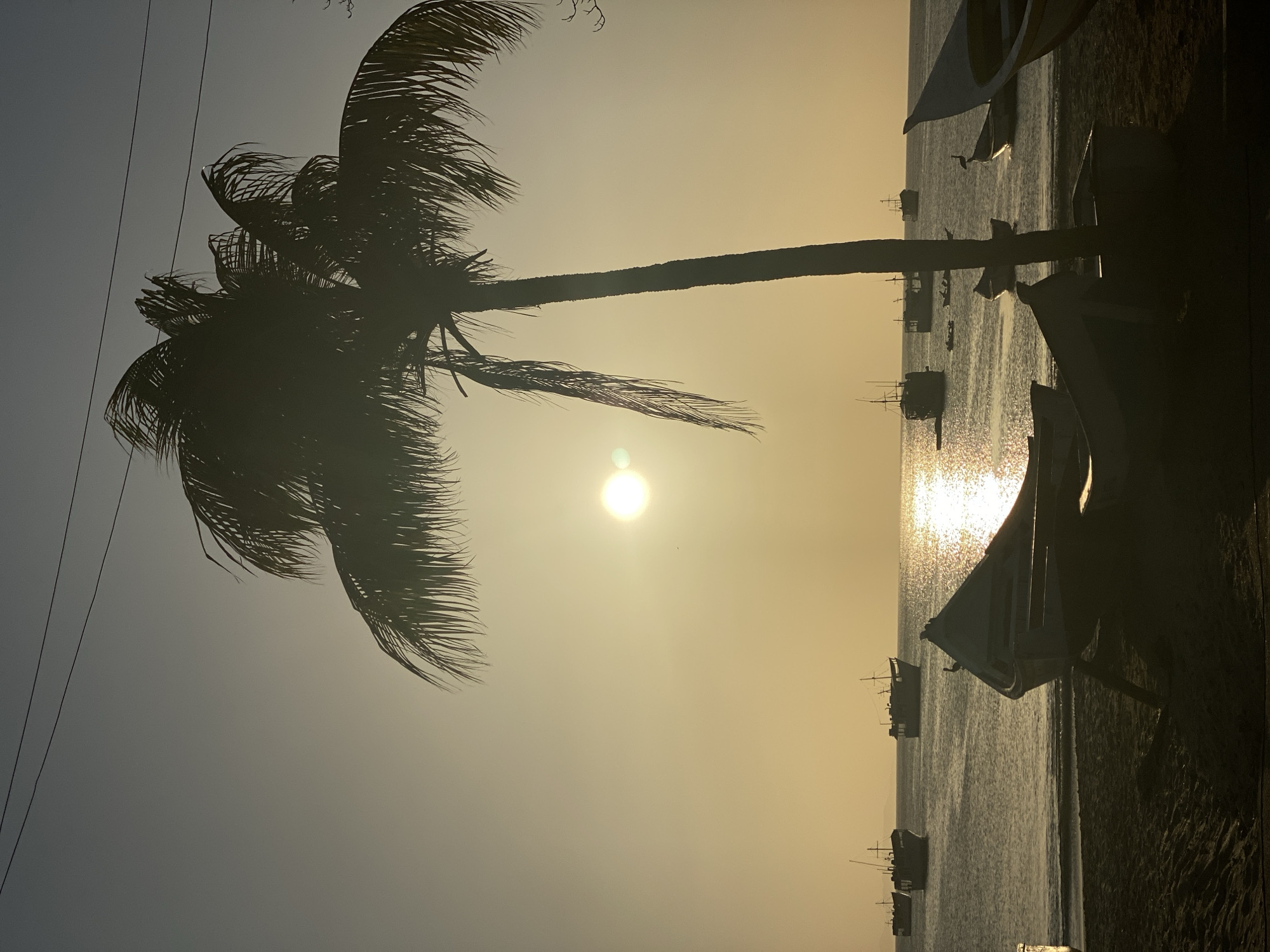 The photograph depicts a silhouette of a palm tree and several boats against a bright, sunlit sky. The sun is positioned between the tree and the boats, reflecting off the water. The scene appears to be a coastal area, potentially a beach. There are multiple small fishing boats in the water, some closer to the shore and some further out. The location is likely Juan Griego, Venezuela, as indicated by the presence of fishing boats and the coastal landscape.