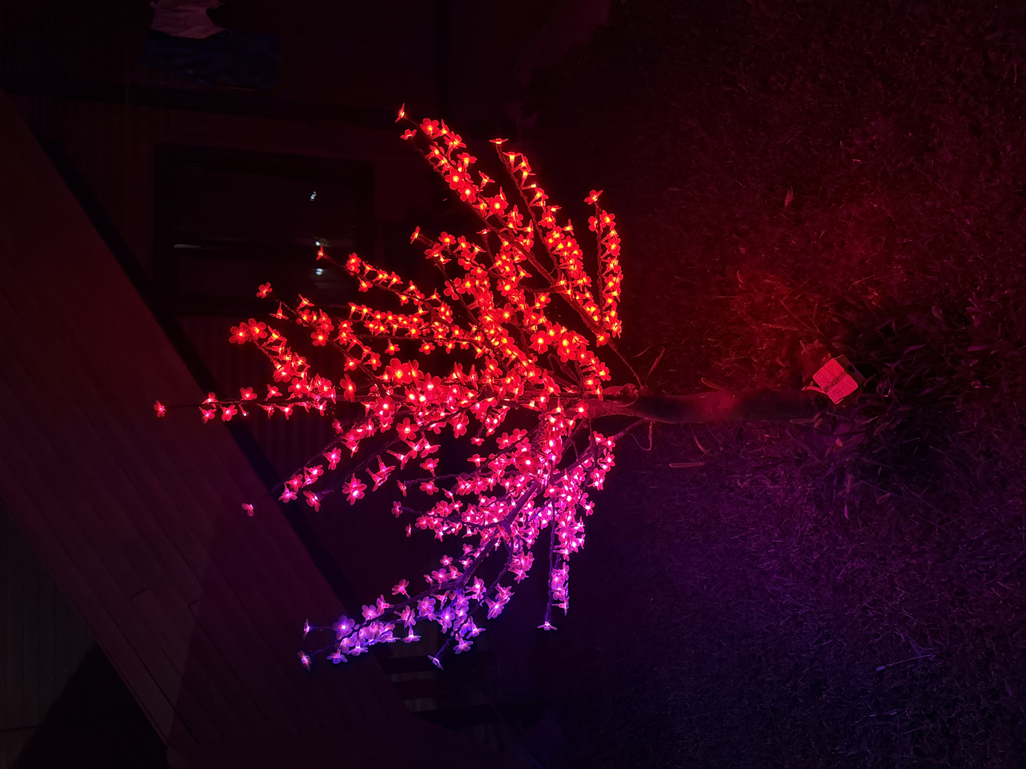 A decorative tree with LED lights shaped like flowers is illuminated in a yard at night. The lights transition from purple on the left side of the tree to red on the right. The tree is planted in grass, and a small red box is visible at its base. In the background, a building with a dark window and some laundry hanging can be seen. The scene is set in the city of Urdzhar, Kazakhstan.
