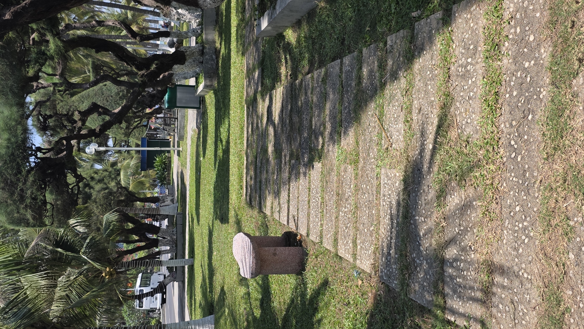 The image depicts a park setting in Nha Trang, Vietnam. On the left, dense foliage including palm trees and other trees with intricate branch structures, obscures part of a street scene with a white vehicle and lamp posts visible. A pedestrian walkway and green lawn stretch down the center of the frame. The shadows of the trees cast a distinct pattern across the ground. To the right, a textured stone path runs alongside the lawn. A stone bench with a rounded top is located on the lawn.