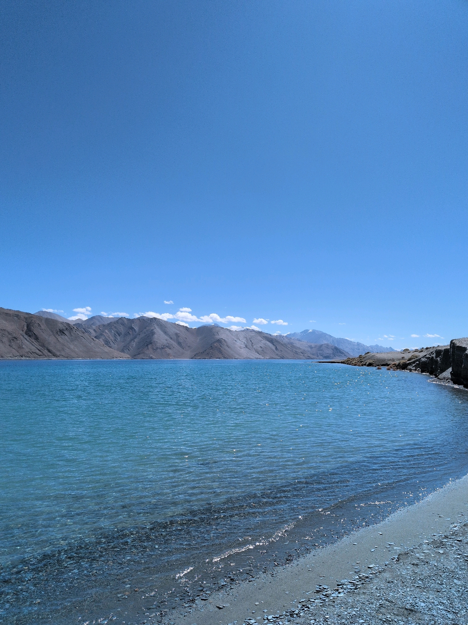 This is a photograph of Pangong Tso lake in Leh, India. The image captures a vast expanse of clear blue water, reflecting the bright, cloudless sky. In the background, a range of rugged, barren mountains stretches across the horizon. The foreground shows a rocky, sandy shoreline with small pebbles and stones. The water is calm with gentle ripples and sparkles from the sunlight. There are no people or man-made structures visible in the image.