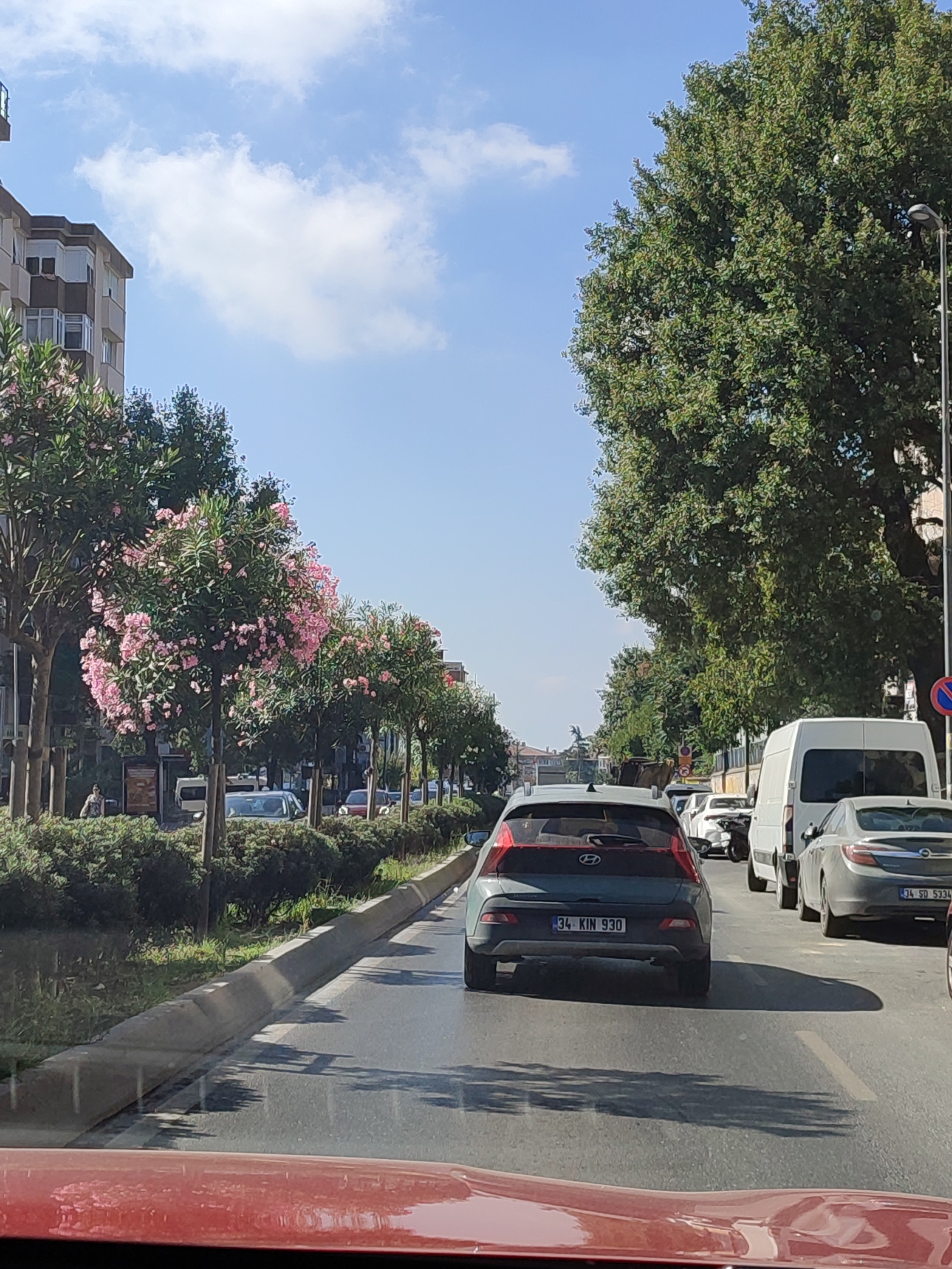 The image captures a street scene in Üsküdar, Turkey, on a clear day with a bright blue sky and scattered white clouds. The perspective is from inside a vehicle, showing the road ahead and the surrounding urban environment.
In the foreground, the hood of a red vehicle is visible. Ahead on the road, traffic is moderate, with several cars and a white van visible. The vehicle in front of the camera is a dark grey hatchback with the license plate "34 KIN 930". To its right, a silver sedan with license plate "34 SD 5334" is also in traffic.
The street is lined with trees, many of which are adorned with vibrant pink flowers, suggesting a spring or summer season. These flowering trees are neatly arranged along the sidewalk. Behind the trees, buildings are visible. On the left side of the road, a multi-story apartment building with a light brown facade and dark brown trim stands. On the right side, a large, mature tree with dense green foliage dominates the scene, with a lamppost positioned nearby.
The road is paved and appears to be a main thoroughfare. Shadows from the trees and vehicles are cast across the asphalt, indicating the time of day is likely mid-morning to afternoon. The general impression is of a typical urban street in a well-maintained area of Üsküdar.