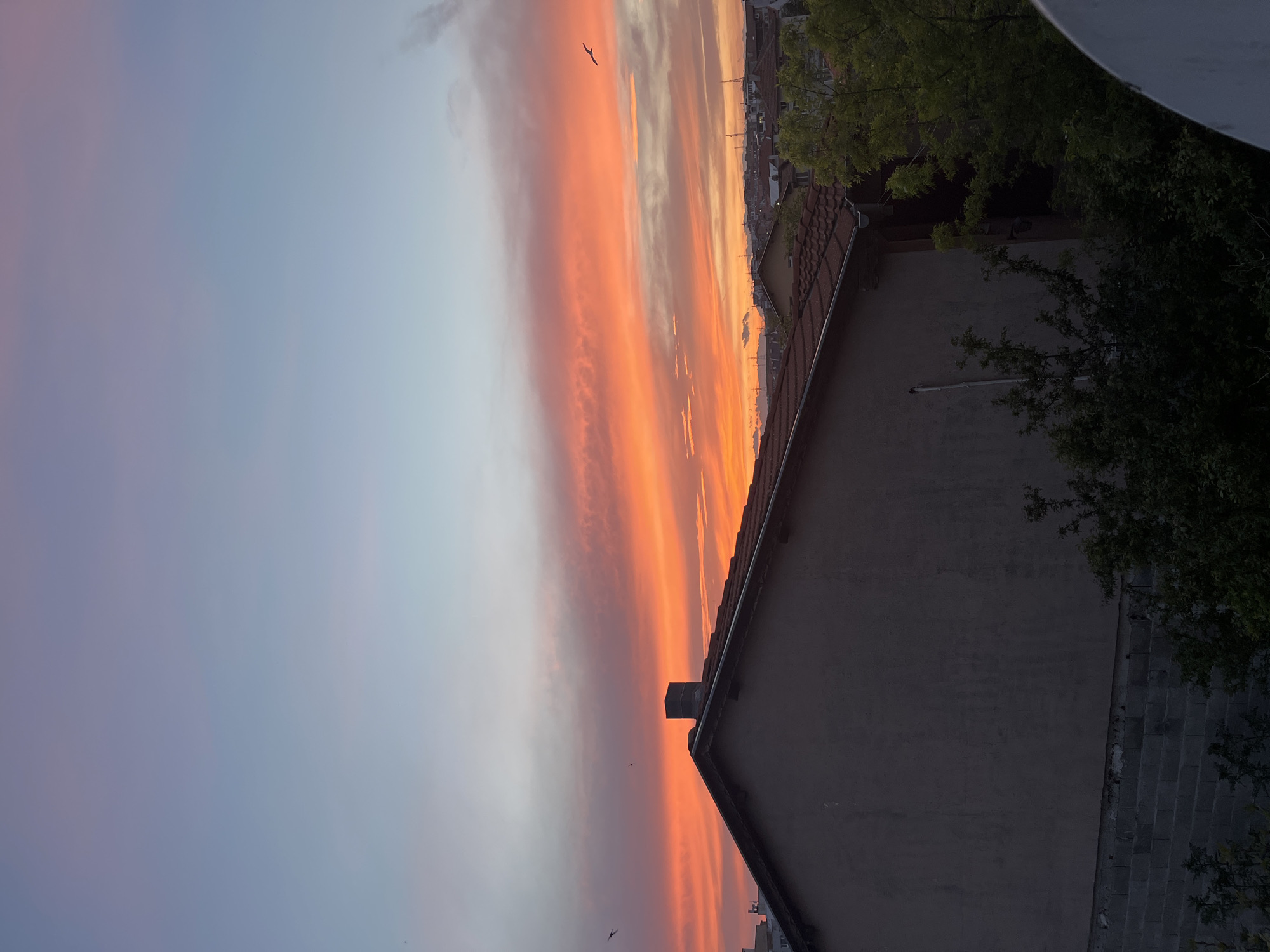 The image shows a sunset view from a residential area in Burgas, Bulgaria. The sky displays a gradient of colors from pale blue and pink to vibrant orange and yellow hues near the horizon. Long, striated cloud formations stretch across the sky. A few birds are silhouetted against the colorful sky.
The scene includes a rooftop with a chimney and tiled roof, along with green foliage from nearby trees. In the far distance, buildings and structures are visible, suggesting a cityscape. The lighting indicates twilight, with the sun setting. The image seems to have been taken from an elevated position, possibly a balcony or upper floor of a building.