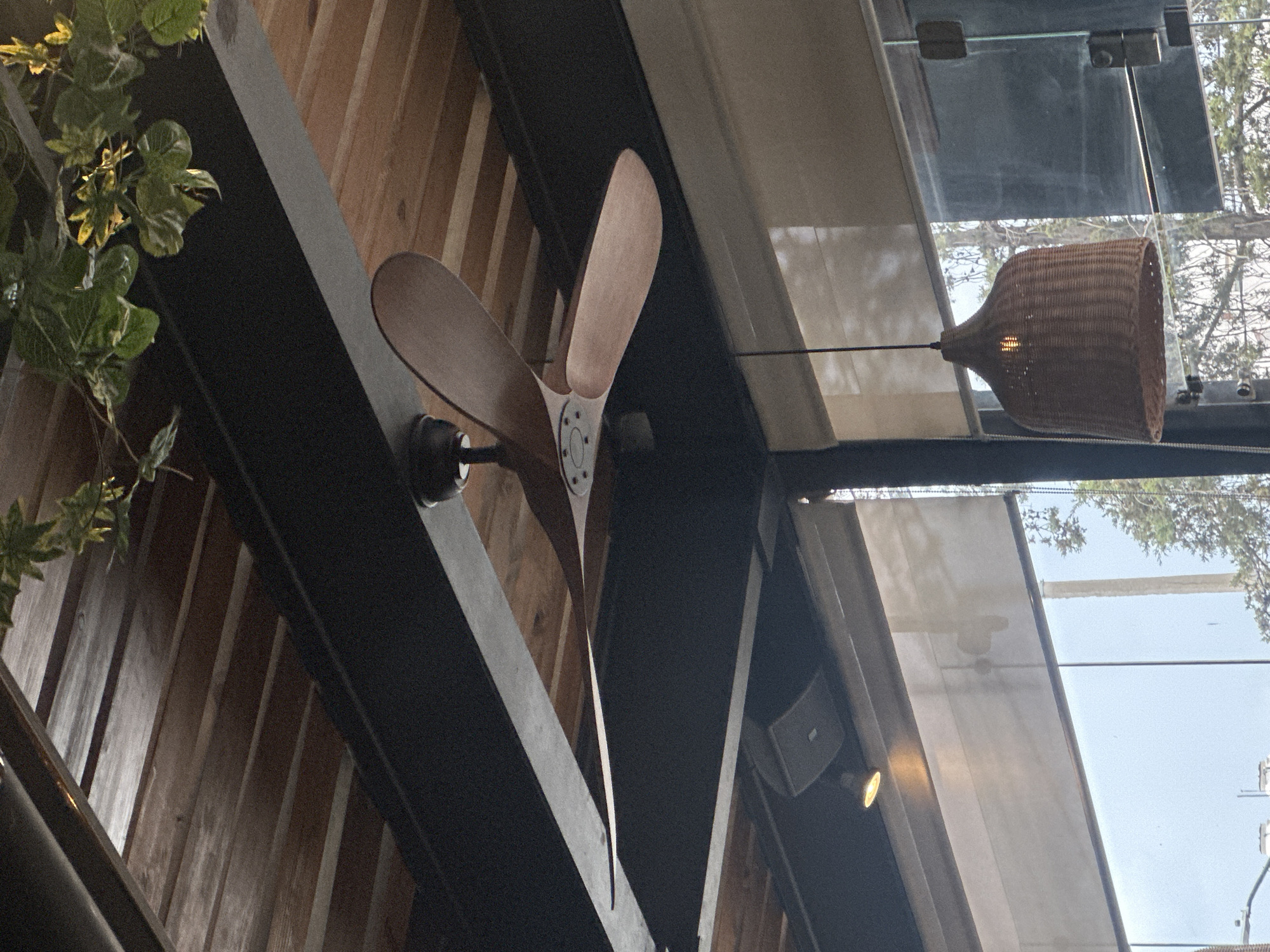 A view from a cafe, captured at an angle, showing a wooden accent wall, a three-bladed wooden ceiling fan, a hanging wicker-style light fixture, and a partial view of a plant. Through glass panels above, trees and the sky are visible. The location is likely Huixquilucan de Degollado, Mexico, based on the request.