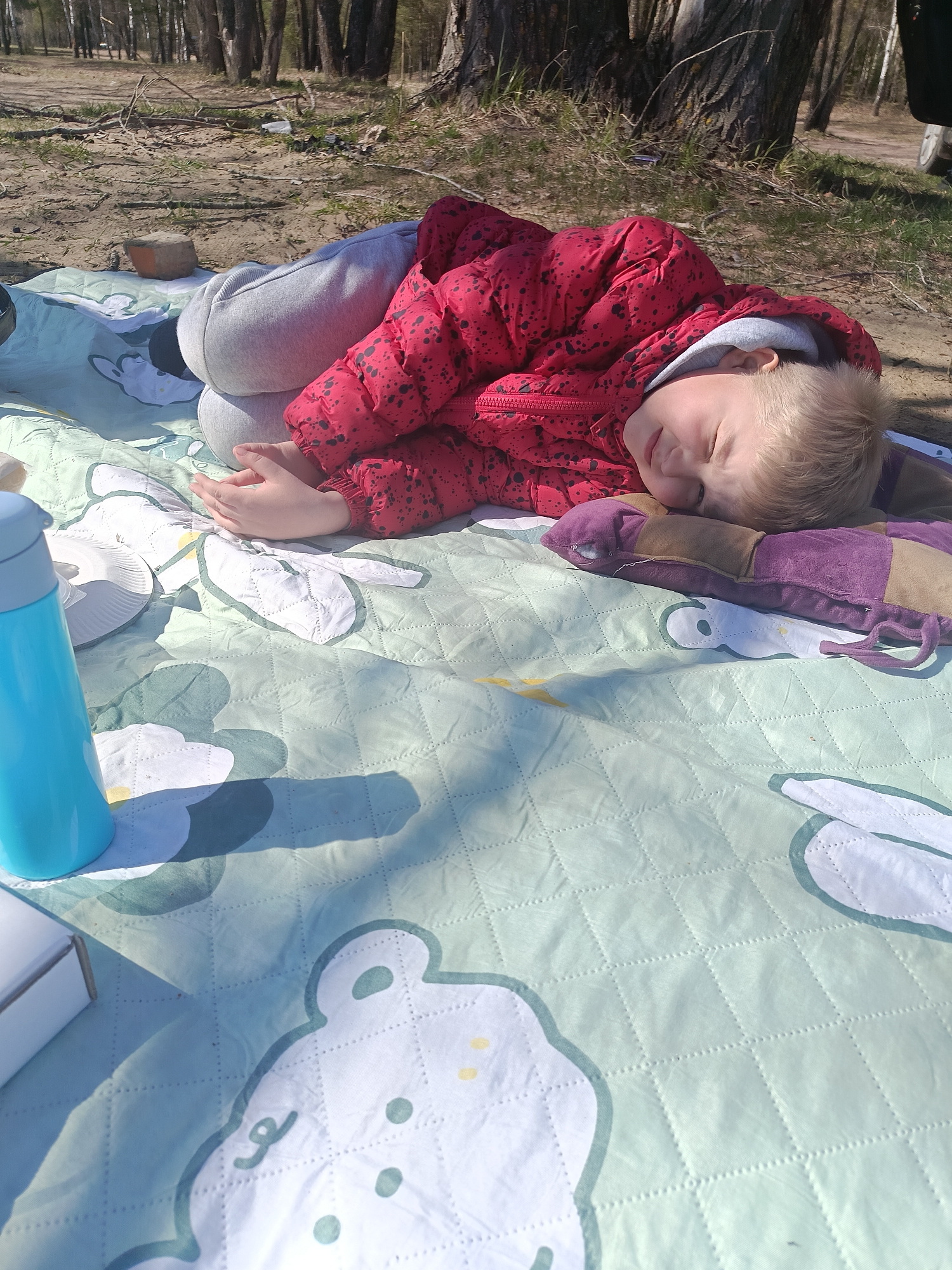 A young child is asleep outdoors on a light blue patterned picnic blanket. The child is fair-skinned with blonde hair, wearing grey sweatpants and a red, hooded winter coat. They are lying on their side, using a purple patterned cushion as a pillow. The blanket features a repeating pattern of white cartoon-like animals with light green outlines. To the left of the child, there is a blue water bottle and a small white box. In the background are trees, indicating a park or wooded area. The time of day appears to be daytime due to the lighting. The location is the city of Unknown, Unknown.