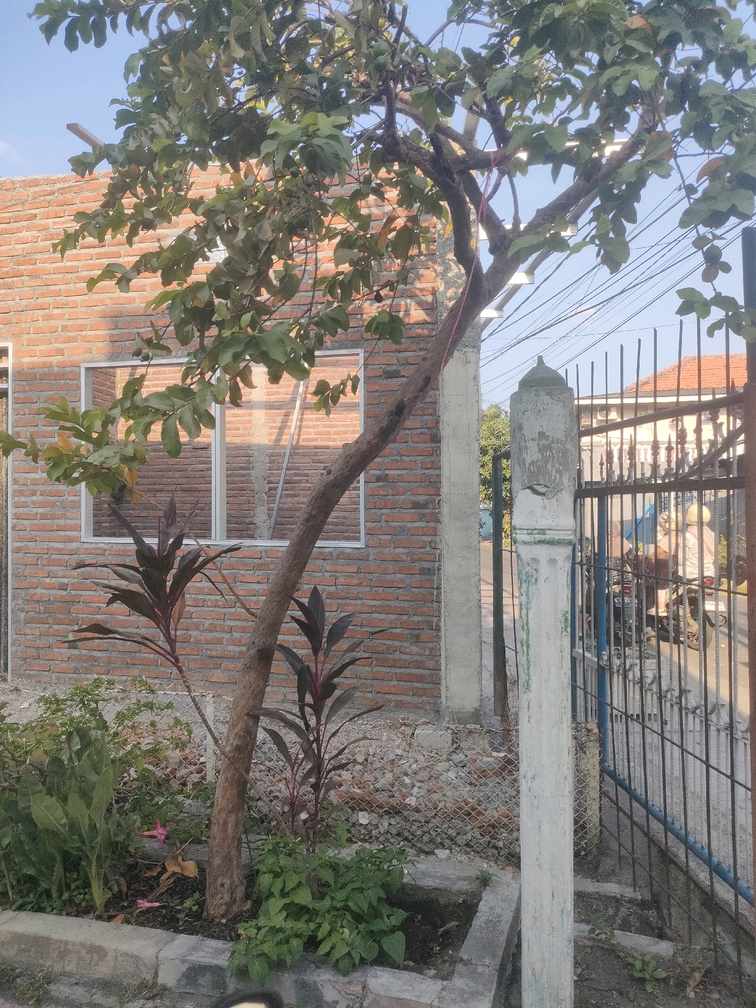 A tree with green leaves and some fruit is in the foreground, obscuring parts of a brick building and a fence. The building has a few windows and appears to be under construction. A concrete pillar stands near the fence, which is made of black metal bars. Behind the fence, two people wearing helmets are visible on a motorcycle. The scene is outdoors with a clear sky and power lines overhead. The context of Surabaya, Indonesia, suggests a warm, possibly humid climate.