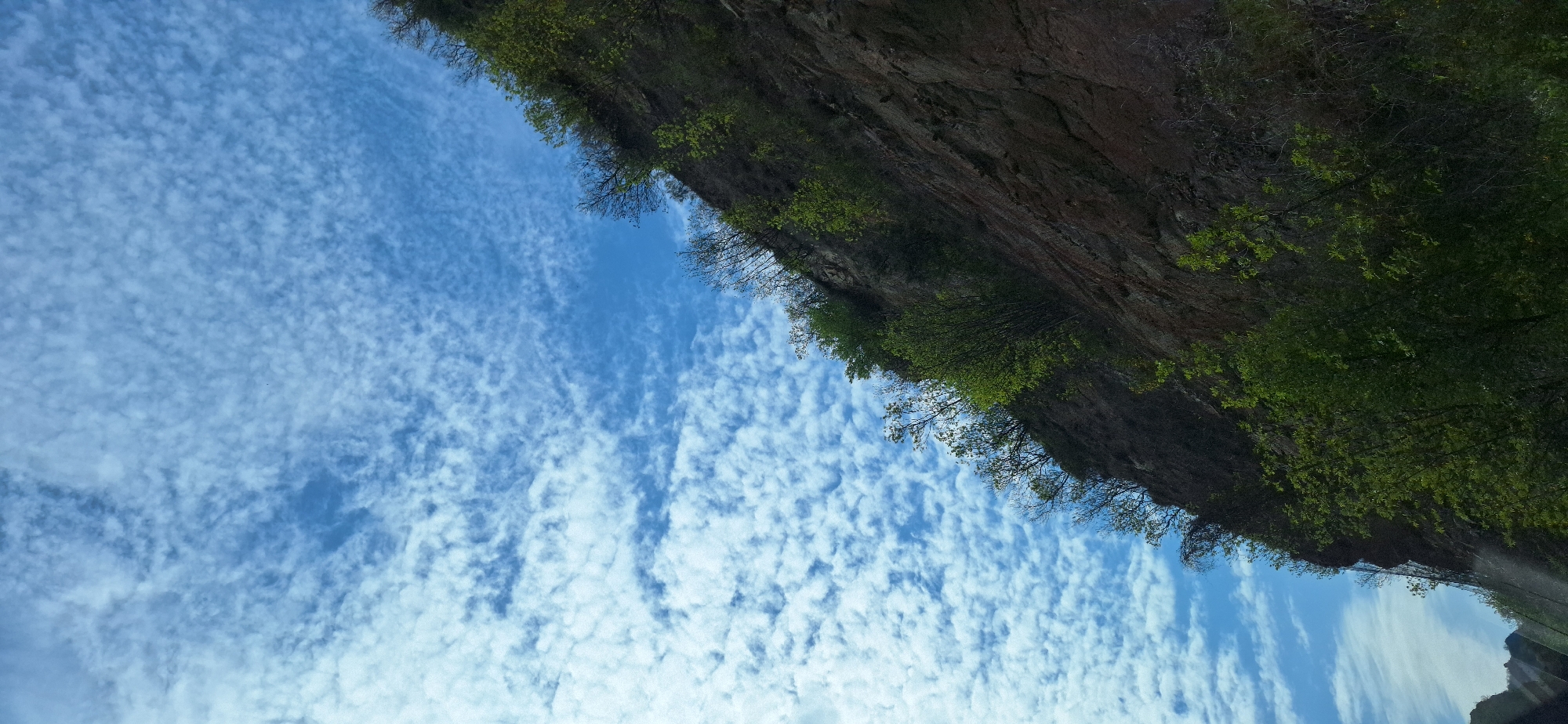 The image captures a landscape with a focus on the sky and a rocky cliff. The sky is predominantly blue, filled with numerous small, white, puffy clouds. The cliff is steep and covered with vegetation, mostly green foliage. The photograph seems to have been taken in Крупник, Bulgaria. The image is oriented at an angle, with the cliff appearing on the right side and the sky on the left.