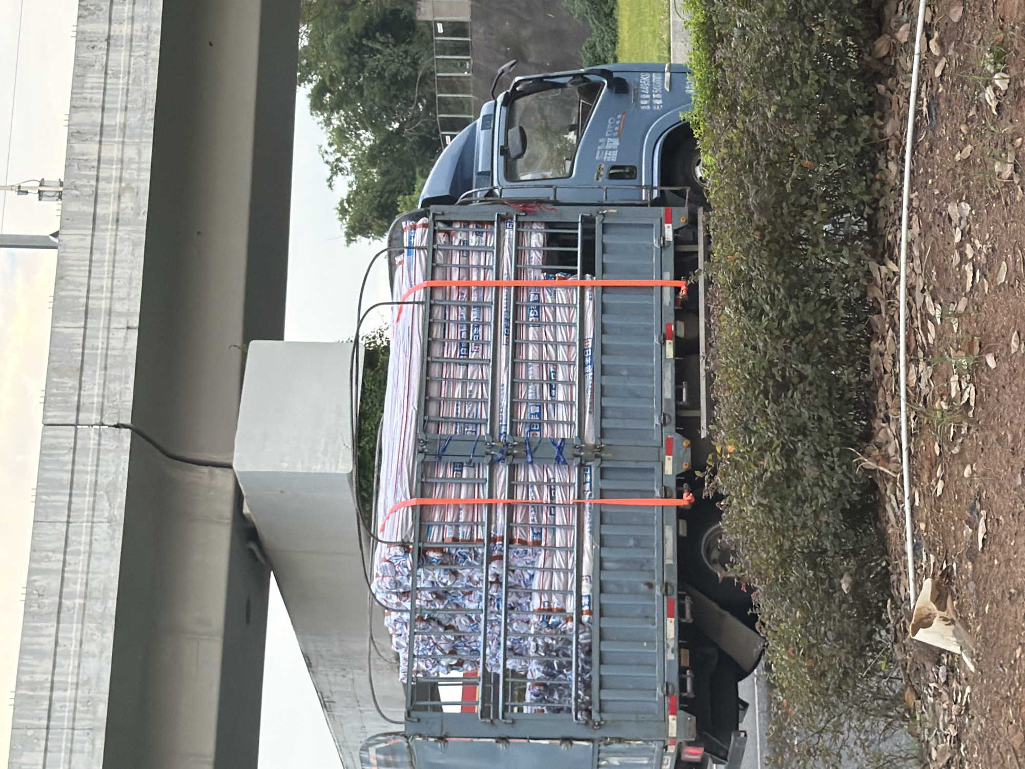 A blue truck is parked on the side of a road, under an elevated highway structure. The truck bed is filled with a large load of rolled materials, likely insulation or similar products, wrapped in plastic and secured with orange straps. The truck has writing on its side, including what appears to be a company name and weight limit in Chinese characters. Trees and foliage are visible in the background, and the ground in the foreground is covered with dirt, leaves, and some white piping. The sky is overcast. The scene appears to be located in or near Jiangjin, China, based on the truck's markings, which are consistent with Chinese commercial vehicles.