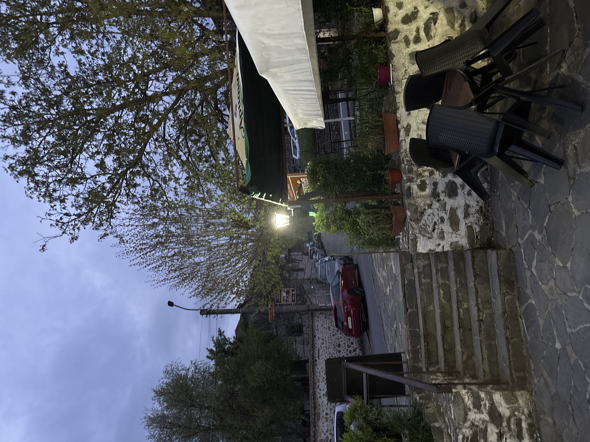 The image captures a tranquil street scene at dusk or early evening in Zlatograd, Bulgaria. The sky is overcast, creating a soft, muted light, while a streetlamp glows warmly, illuminating the immediate vicinity.
In the foreground on the right, stone steps descend alongside a sturdy stone wall. Several dark-colored outdoor chairs are neatly stacked against this wall, hinting at a nearby establishment, possibly a cafe or restaurant, that is either closed or preparing to open/close. Potted plants are spaced along the base of the wall, adding greenery to the stone architecture.
To the left, a large tree with light green, sparse leaves frames the upper part of the image, suggesting early spring. Below the tree, a white and green awning extends over an area. Yellow text is visible on the green portion of the awning, reading "БЪЛГАРСКО ТРАДИЦИОННО" (Bulgarian Traditional).
A narrow street, likely paved with stone, curves gently into the distance. A bright red car is prominently parked on the right side of the street, with other vehicles visible further down the road. Across the street, traditional stone buildings line the thoroughfare. A utility pole with a streetlamp stands by the roadside. The absence of people contributes to the quiet, serene atmosphere of the scene.