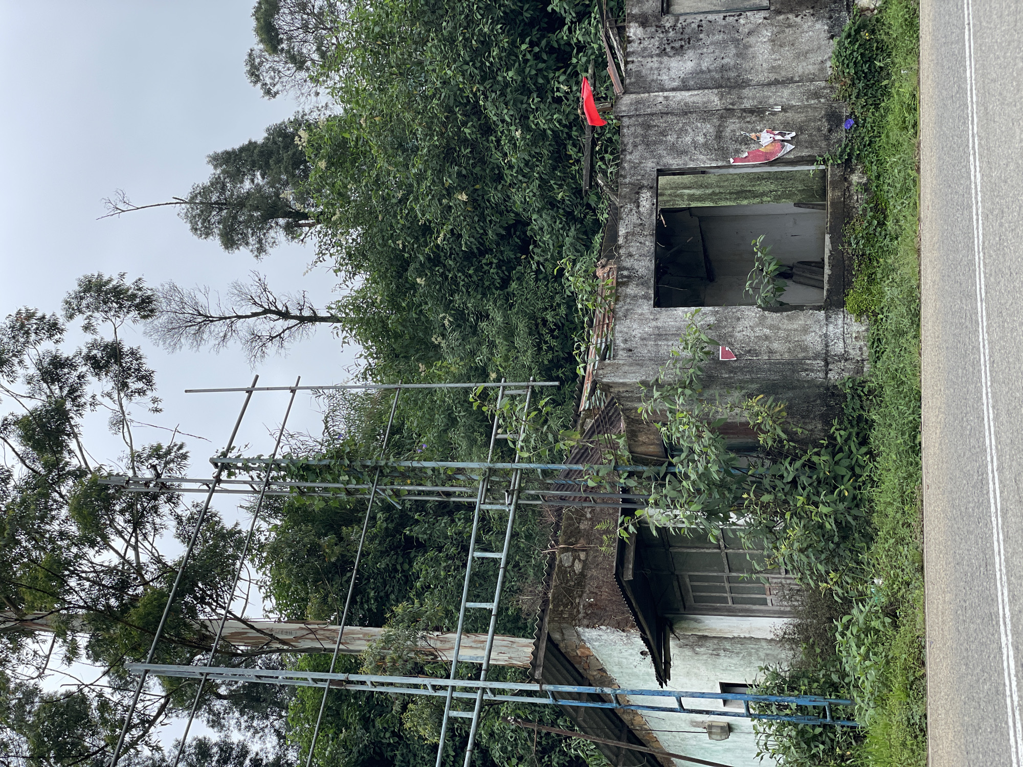 The image depicts an abandoned structure in Kudaoya, Sri Lanka. The building is partially obscured by dense foliage and appears to be in a state of disrepair. Scaffolding is visible near the building. A road with white lines is to the side of the structure. A red flag can be seen in the vegetation.
