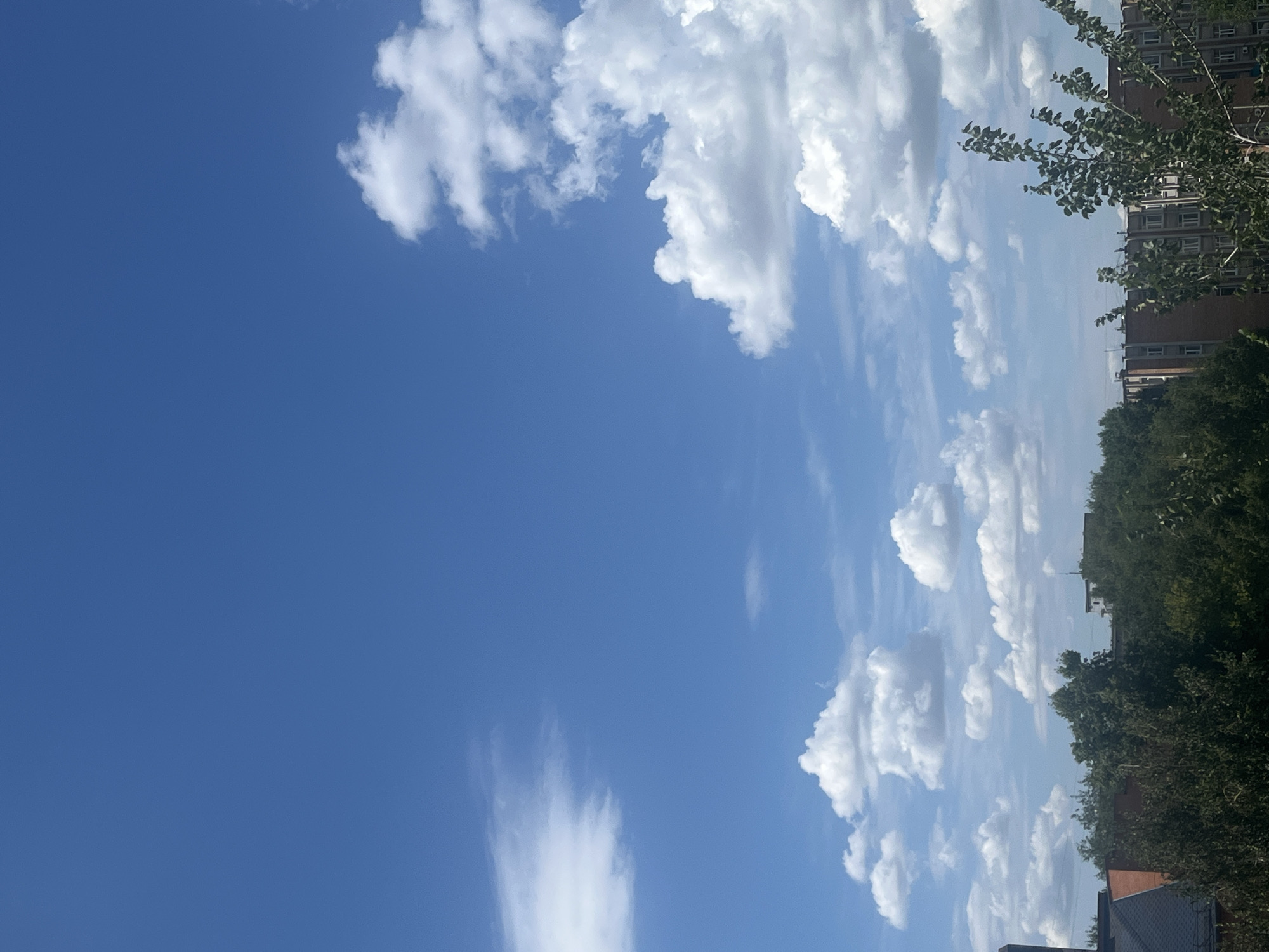 The image depicts a bright, clear blue sky with scattered white cumulus clouds. In the lower portion of the frame, a dense line of green trees partially obscures a row of multi-story brick buildings, suggesting an urban or suburban setting. The architecture of the buildings appears functional, with numerous windows. The lighting indicates it is daytime, likely mid-morning or afternoon. The scene does not contain any people or discernible activity. The overall impression is one of a typical sunny day. This scene could be located in Oskemen, Kazakhstan, as the architecture and vegetation are consistent with the region.