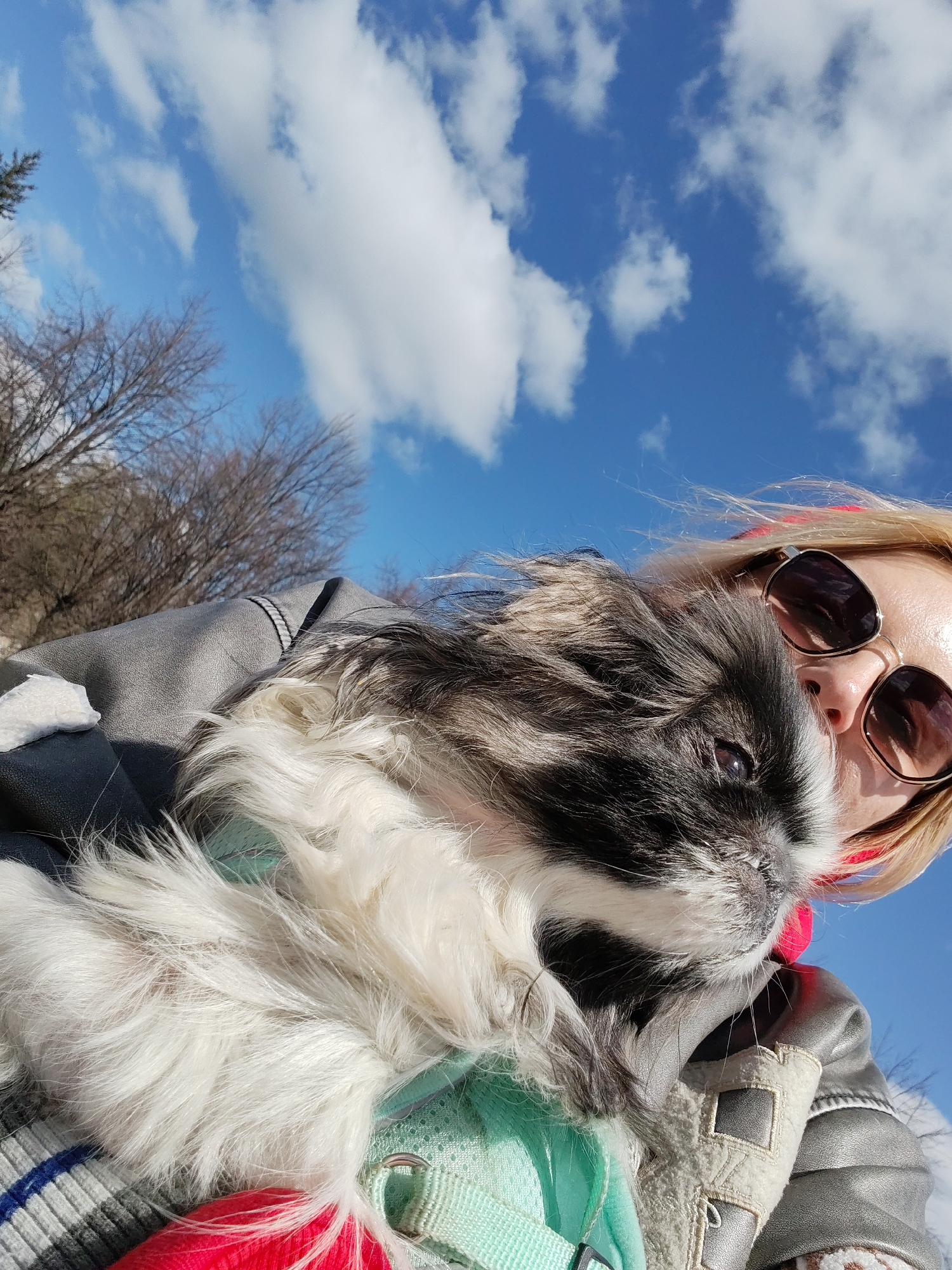 A woman is holding a small dog against a backdrop of a bright blue sky with scattered white clouds and bare tree branches. The woman is wearing sunglasses and a jacket. The dog has long, white and dark gray fur. The location is Izhevsk, Russia.