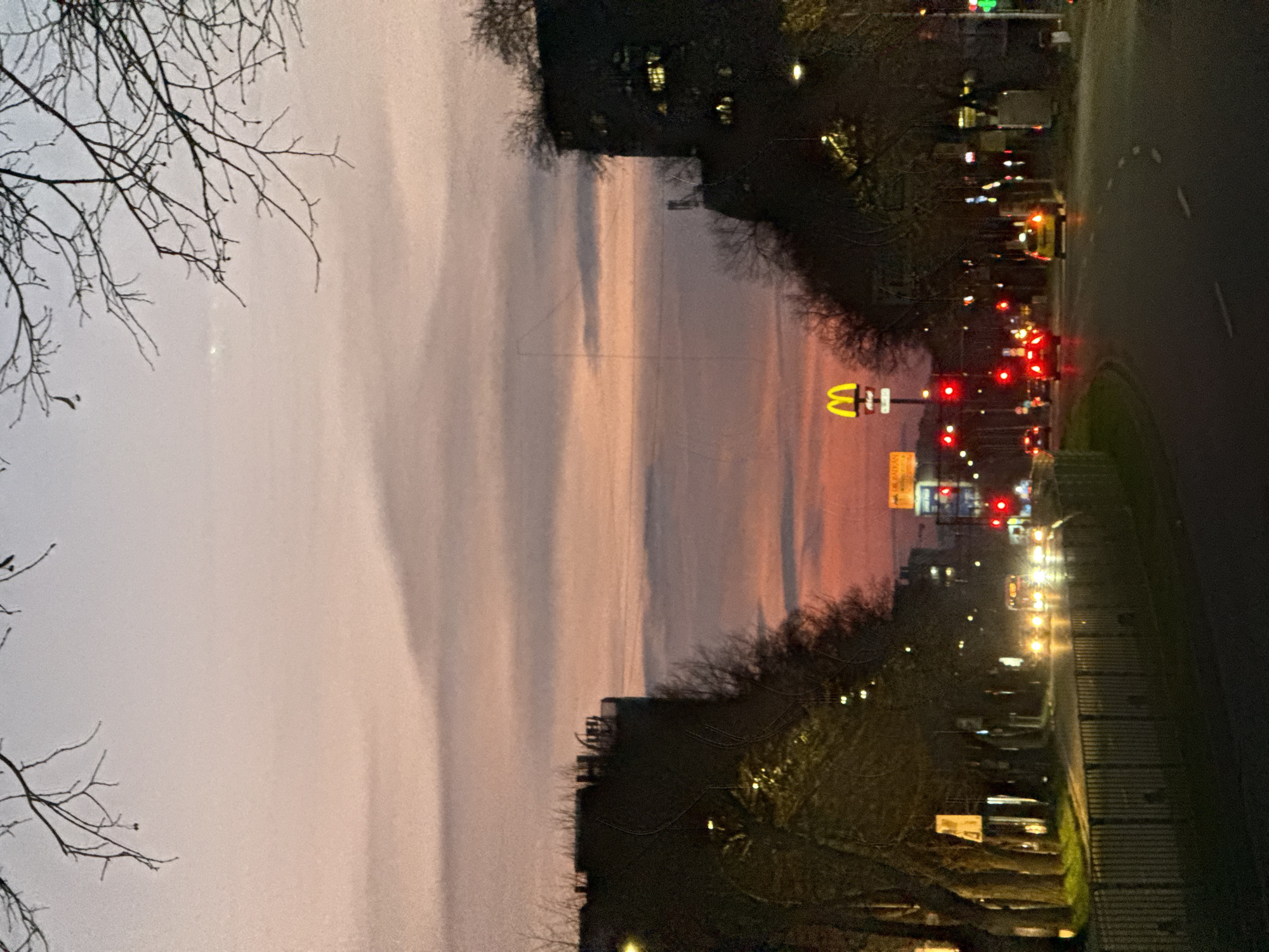 The image captures a street scene at dusk in Varna, Bulgaria. A McDonald's sign is prominently visible. A multi-lane road stretches into the distance with vehicles and traffic lights. Bare tree branches are visible in the foreground on the left and trees line the street. The sky is a mix of pale pink and gray, indicative of the setting sun. Buildings are situated along the street.