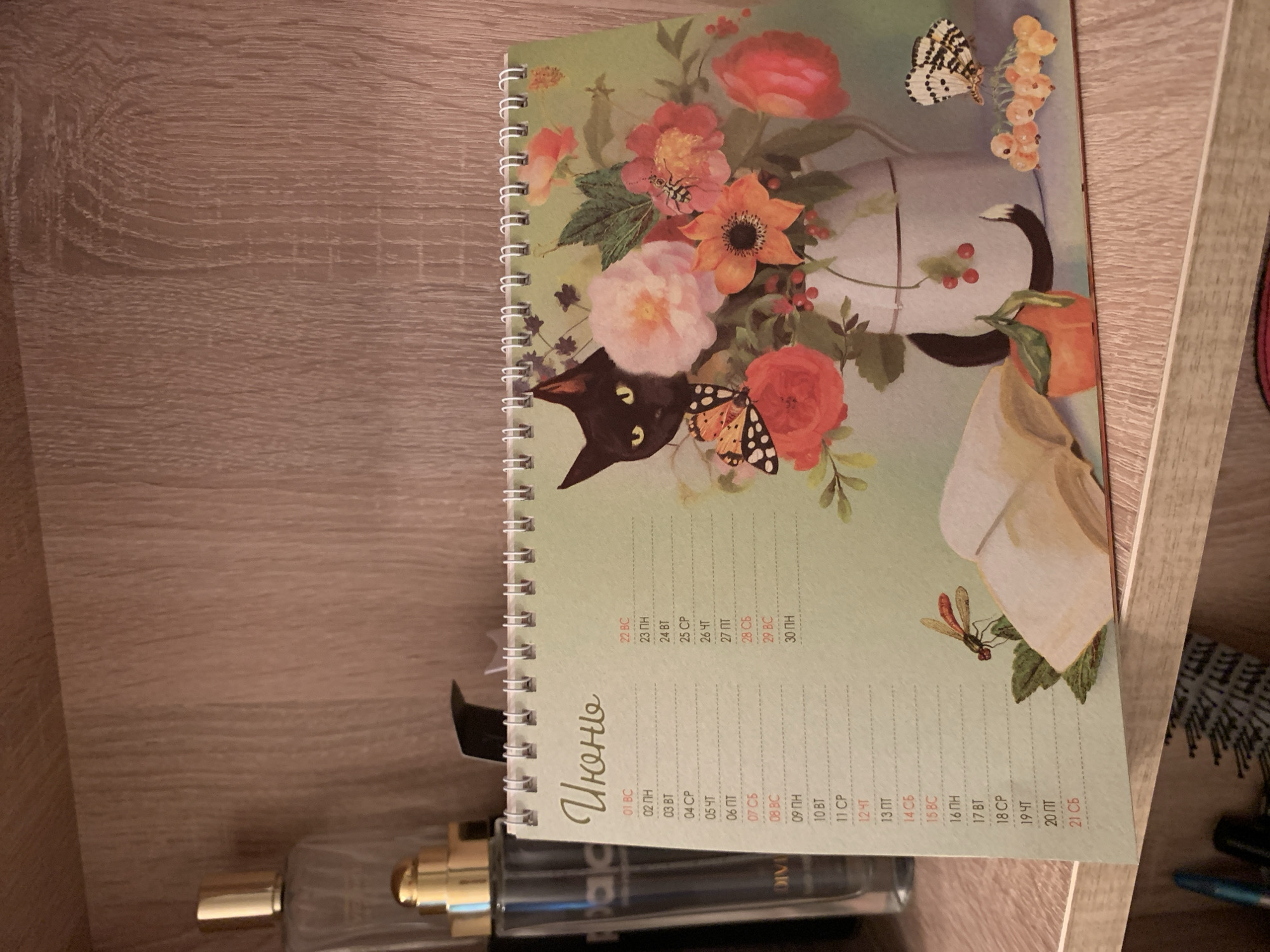 The image shows a close-up of a desk calendar on a wooden shelf. The calendar is open to the month of June, indicated by the Russian word "Июнь" at the top. The calendar features a floral illustration with a black cat, a butterfly, and other insects. The left side of the calendar shows a list of dates and days of the week, with some dates highlighted in red. To the left of the calendar, a partially visible perfume bottle with a gold cap is present. The shelf is made of light-colored wood with a visible grain pattern. The background is also a wooden surface. There are no people or animals in the image, other than those depicted in the illustration on the calendar. The scene is static and appears to be indoors. The location in the city of Kapyĺ, Belarus, is not discernible from the image itself.