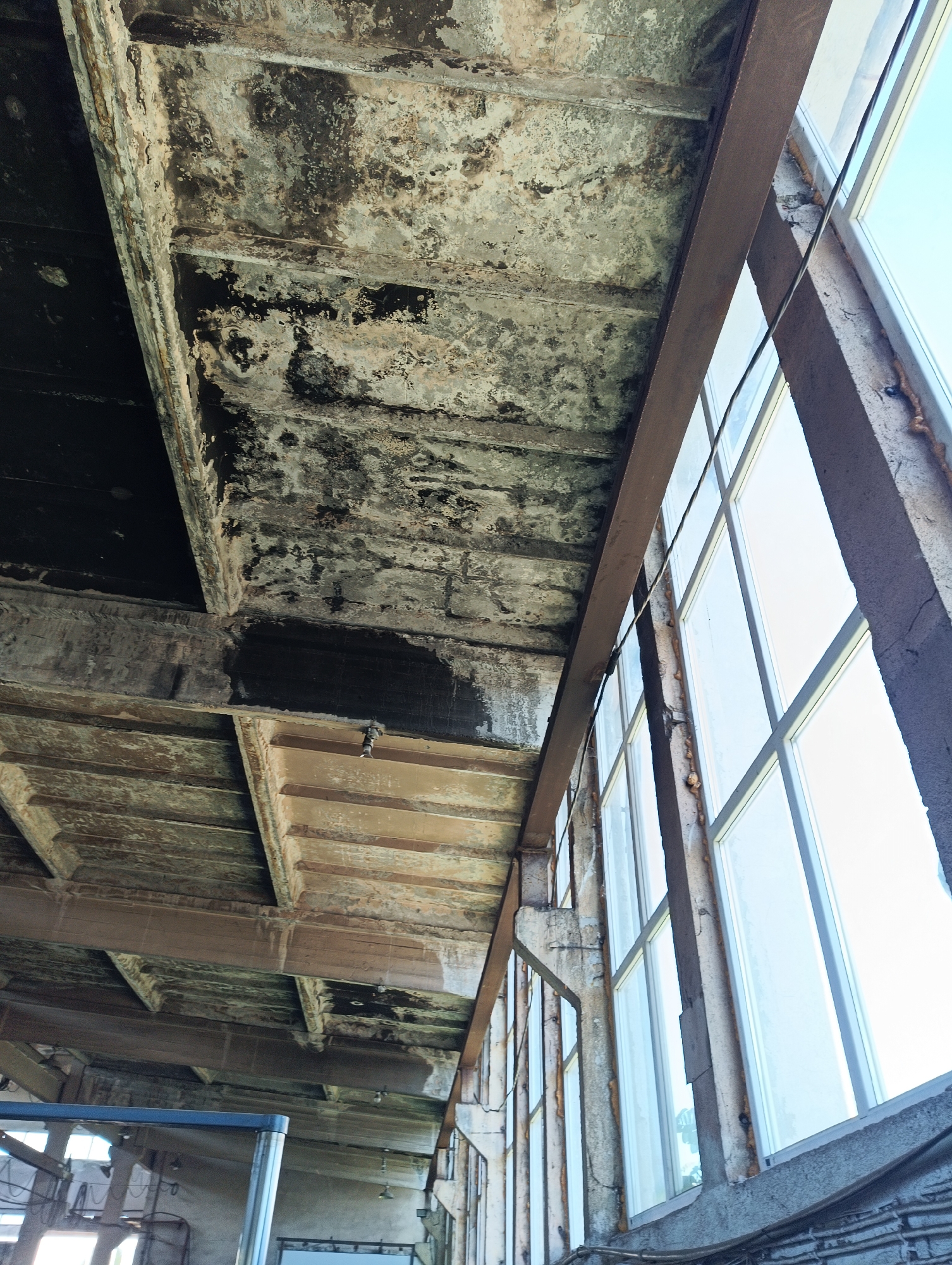 The image depicts the interior of an abandoned industrial building, likely a former factory, located in Karnobat, Bulgaria. The perspective is looking upwards at a dilapidated ceiling structure. The ceiling is composed of concrete beams and panels, showing significant signs of decay, water damage, and discoloration. Dark, sooty stains are visible on the upper concrete surfaces, suggesting a past fire or significant pollution. The lower concrete structures appear weathered and stained with moisture.
Adjacent to the ceiling is a large, multi-pane window, mostly covered with opaque film or dirty glass, allowing diffuse daylight to enter. The window frame is made of metal and shows signs of rust and wear. A horizontal steel beam runs along the length of the building, supporting the ceiling structure and extending across the window line. This beam is also weathered and discolored.
Below the main ceiling structure, further into the building, the view reveals more exposed beams and concrete elements, all exhibiting a state of neglect. In the lower left portion of the image, some metal framing and what appears to be part of a display or piece of equipment can be seen, suggesting that some elements may have been left behind or are part of a salvage operation. Electrical conduits and wires are visible along the exterior wall beneath the window.
The overall impression is one of disuse and decay, characteristic of an industrial site that has been abandoned for a considerable period. There are no people or active processes visible in the image.