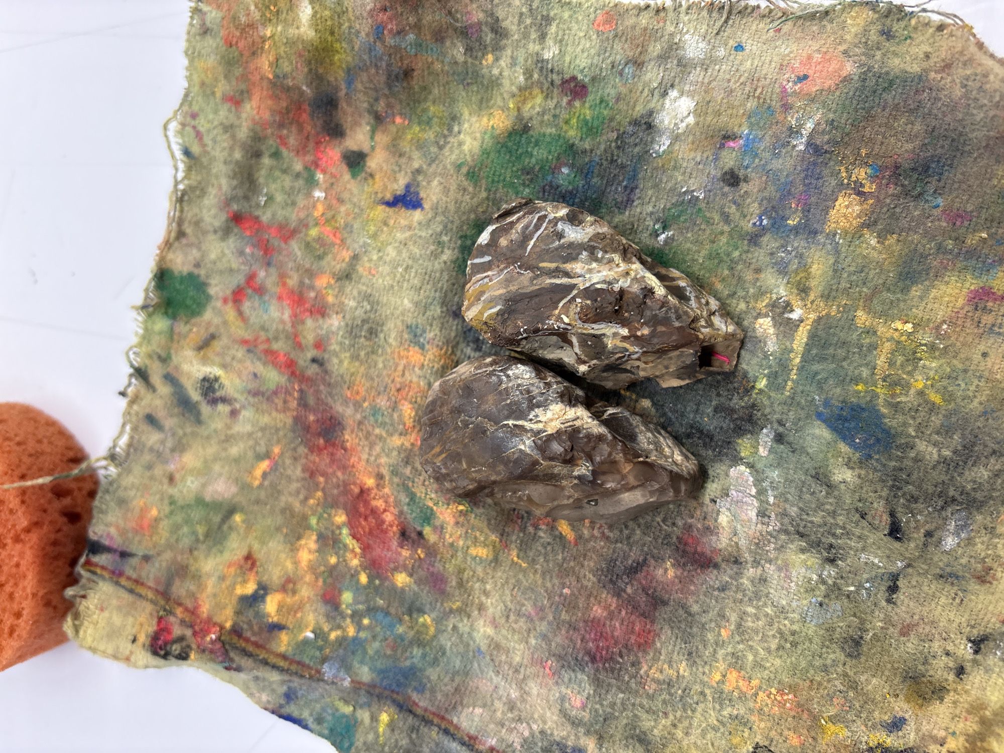 The image depicts two dark brown rocks resting on a paint-splattered cloth. An orange sponge is visible in the lower left corner. The background appears to be a white surface. The location is unknown; there is no indication that the image was taken in Mexico City, Mexico.