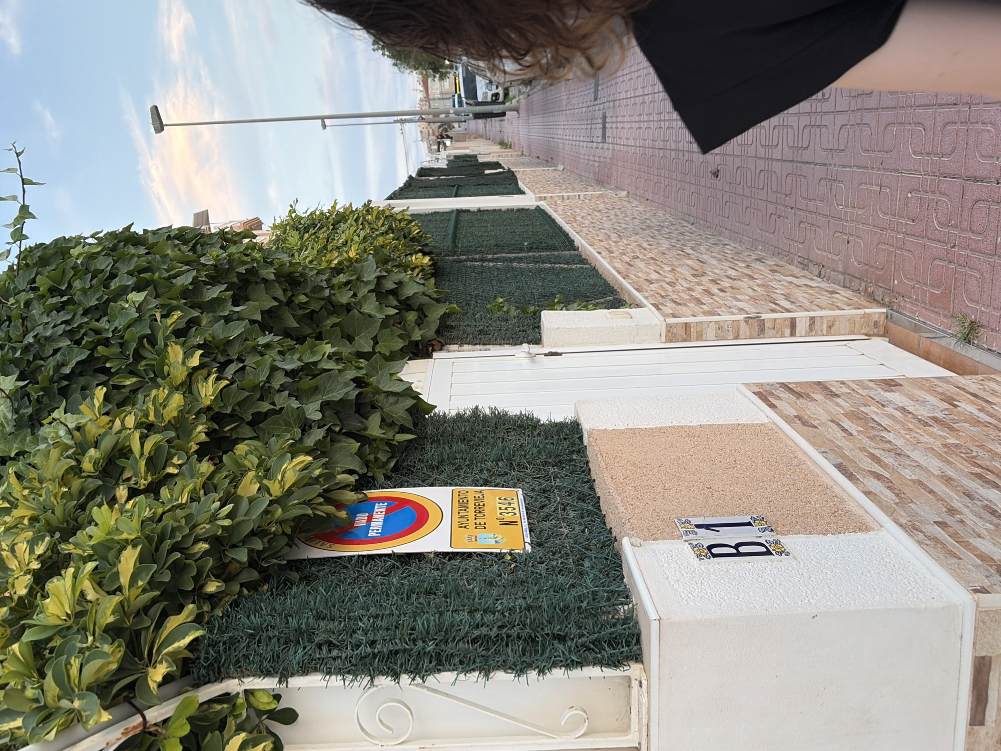 The image captures a residential street in Torrevieja, Spain, on a clear day with soft lighting indicative of late afternoon or early morning. The foreground is dominated by a textured wall adorned with decorative tiles spelling out "B1". This wall is partially covered by dense, green foliage and artificial turf fencing, suggesting a well-maintained property. A red and white traffic sign indicating "VADO PERMANENTE" (permanent no-stopping zone) and "AYUNTAMIENTO DE TORREVIEJA N° 3546" is visible on the fencing. A white gate is partially open.
The street itself is paved with reddish-brown interlocking bricks featuring a repeating geometric pattern. The sidewalk is bordered by a low, stone-clad wall. Further down the street, a lamppost stands on the right, and several parked vehicles, including a white car, are visible. The background shows a row of buildings and a portion of a pale blue sky with scattered wispy clouds. The right edge of the frame shows the shoulder and back of a person wearing a black garment, their presence suggesting an observer or pedestrian. The overall impression is a quiet, residential area in Torrevieja, with attention to decorative details and functional signage.
