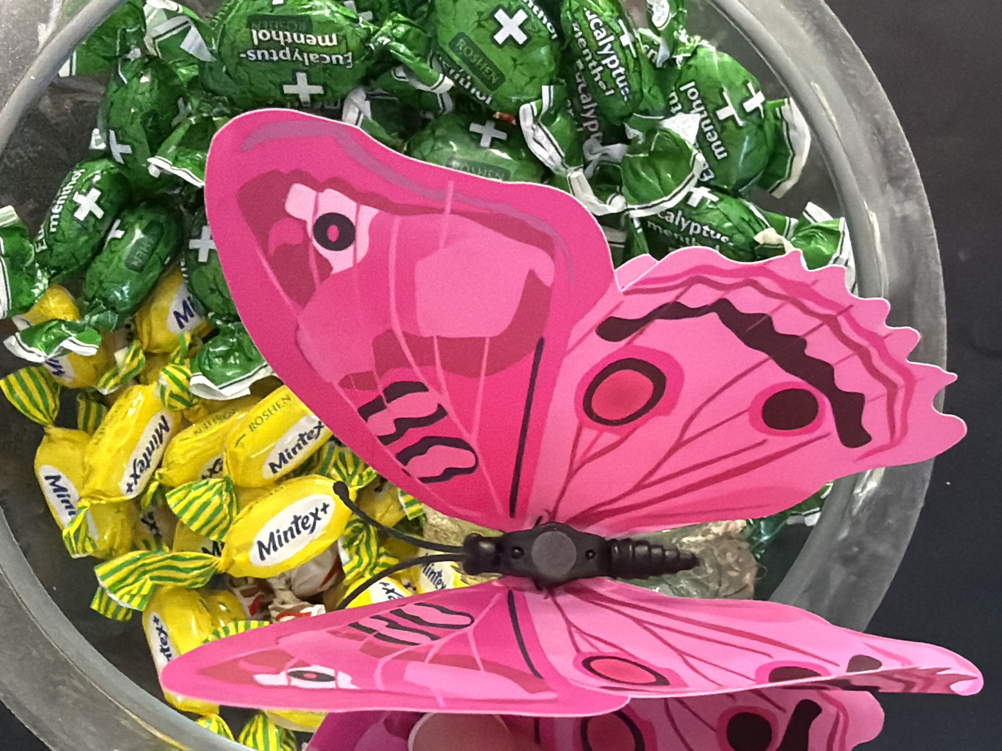 A close-up, overhead shot shows a clear glass bowl filled with individually wrapped candies. On the left side of the bowl are yellow and green striped candies, some with the text "Mintex+" visible. To the right are green candies with white text and a white cross symbol, some reading "Eucalyptus-menthol". A large, pink, decorative butterfly is positioned in the foreground, obscuring a portion of the candies. The butterfly is brightly colored with black accents on its wings and a dark brown body with a round, grey sensor or button on its abdomen. The background is dark. The setting does not provide any specific location information within Kyiv, Ukraine.