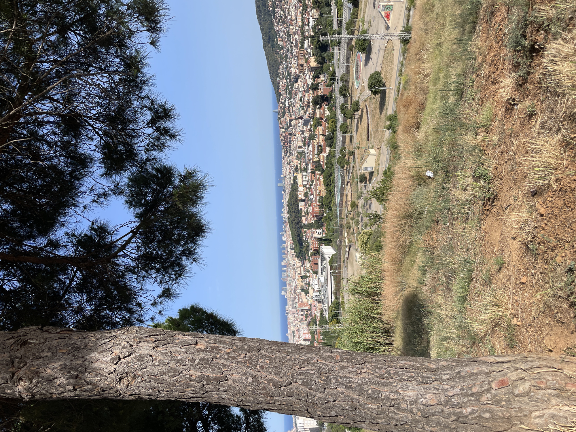 This is a photograph of Barcelona, Spain, taken from a hillside overlooking the city and the Mediterranean Sea. The foreground features the textured bark of a large tree trunk on the left, with dry grass and sparse vegetation on the ground. In the middle ground, there are more patches of dry grass, some greenery, and an open, somewhat dry area with paved paths, light poles, and some colorful graffiti. Buildings and infrastructure are visible in the mid-distance, with a sprawling urban landscape extending towards the sea. The background shows the city skyline with numerous buildings, the blue sea, and a clear sky. A prominent hill covered in trees and buildings rises on the right side of the frame.