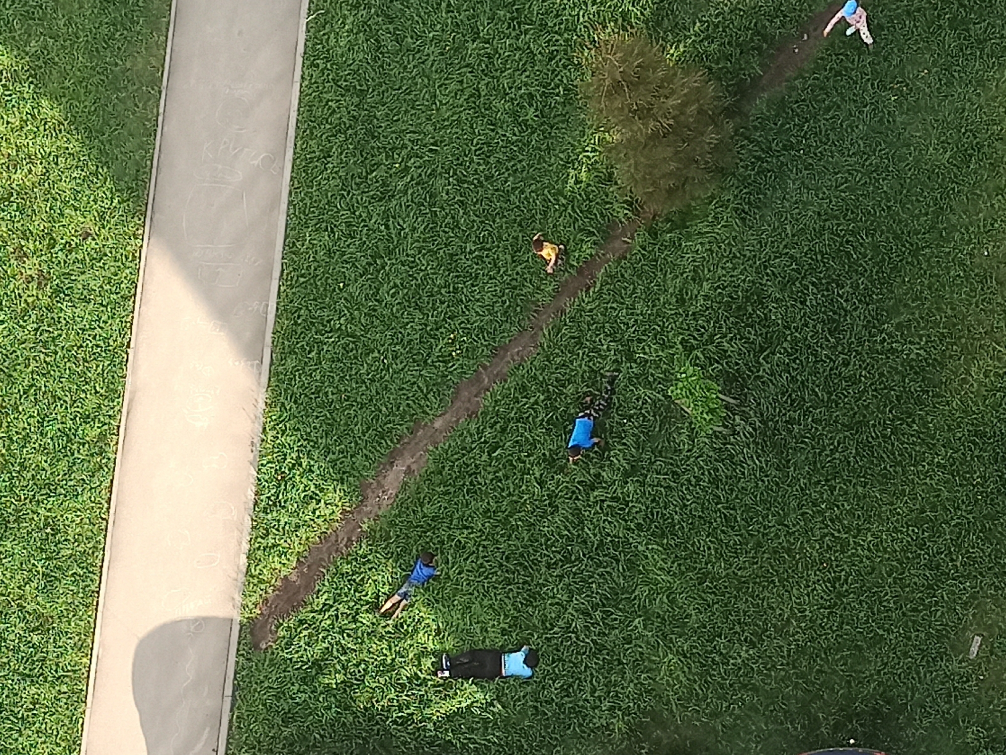 The image shows a high-angle view of a grassy area with a sidewalk on the left edge. The location is Кондратово, Russia, based on the available information. A dirt path runs through the grass, with several people lying on the grass near the path. One person is wearing a blue hat and patterned pants and is near the top right of the image. Further down the path are people wearing blue shirts and a black top with a light blue design. A small tree stands near the middle of the image. Graffiti or drawings are visible on the sidewalk. The overall impression is a group of people relaxing in a park-like setting.