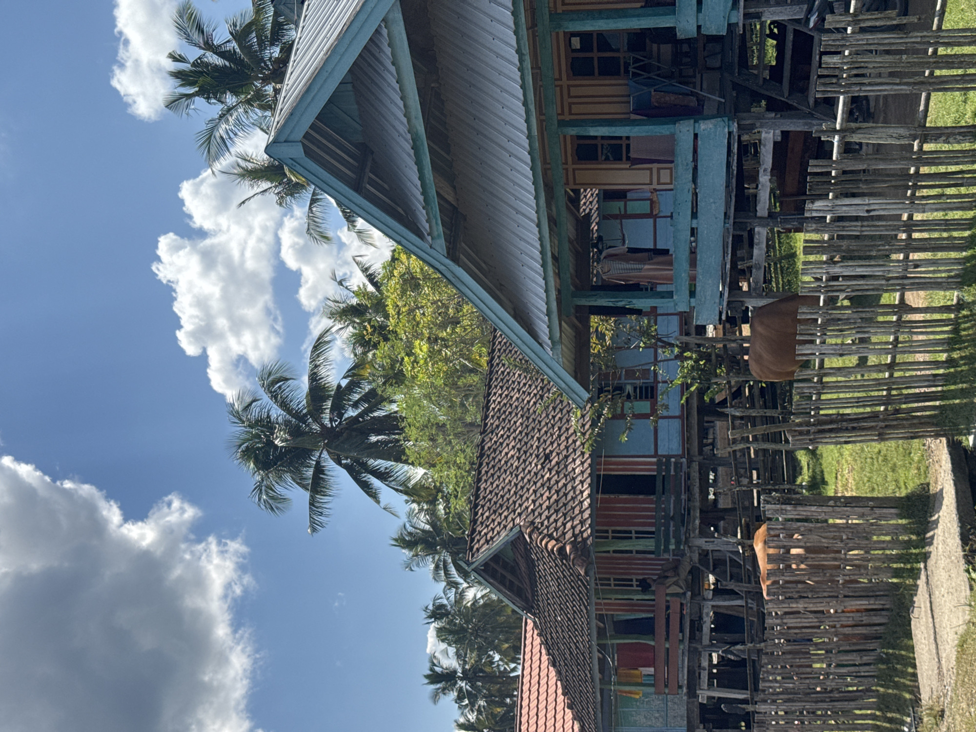 In the city of Kertasari, Indonesia, on a sunny day with scattered clouds, several stilt houses with colorful wooden facades and tiled roofs stand amidst lush vegetation and palm trees. A rustic wooden fence encloses a grassy area where two cows are grazing. The houses have open verandas, and laundry is visible hanging to dry. The scene depicts a tranquil, rural environment.
