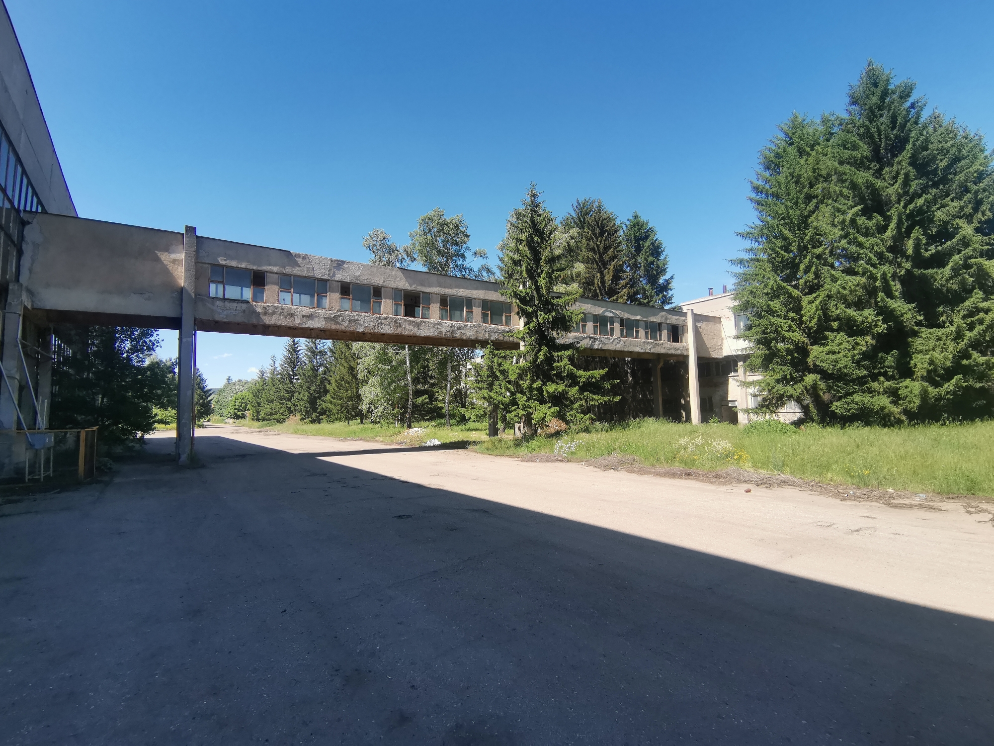 The image shows a concrete overpass in the city of Zhivkovo, Bulgaria. The overpass connects two buildings and features multiple window openings along its length. It spans a paved road, casting a shadow on the asphalt surface. The surrounding environment includes trees and overgrown grass. The sky is clear and blue. No people are visible.