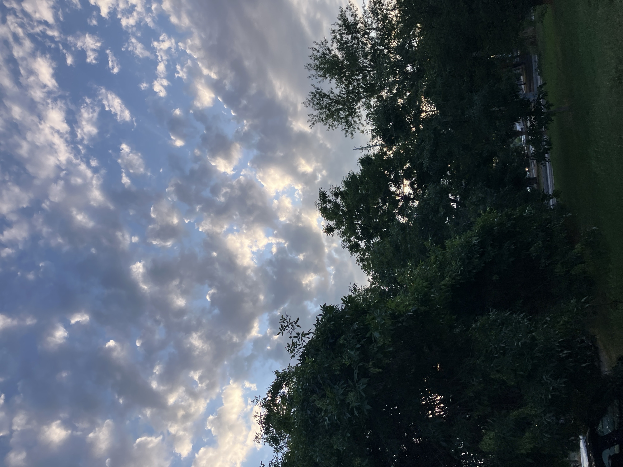 The image captures a sky filled with scattered clouds against a blue backdrop, with sunlight filtering through gaps. Below the sky, a line of dark green trees stretches across the frame, their foliage dense and casting shadows. The lower portion of the image shows a grassy area and hints of what appears to be a road or pathway in the distance, suggesting an outdoor urban or suburban setting. The overall impression is one of twilight or late afternoon light. Without further context, a specific location within Plovdiv, Bulgaria cannot be determined from the visual information alone.