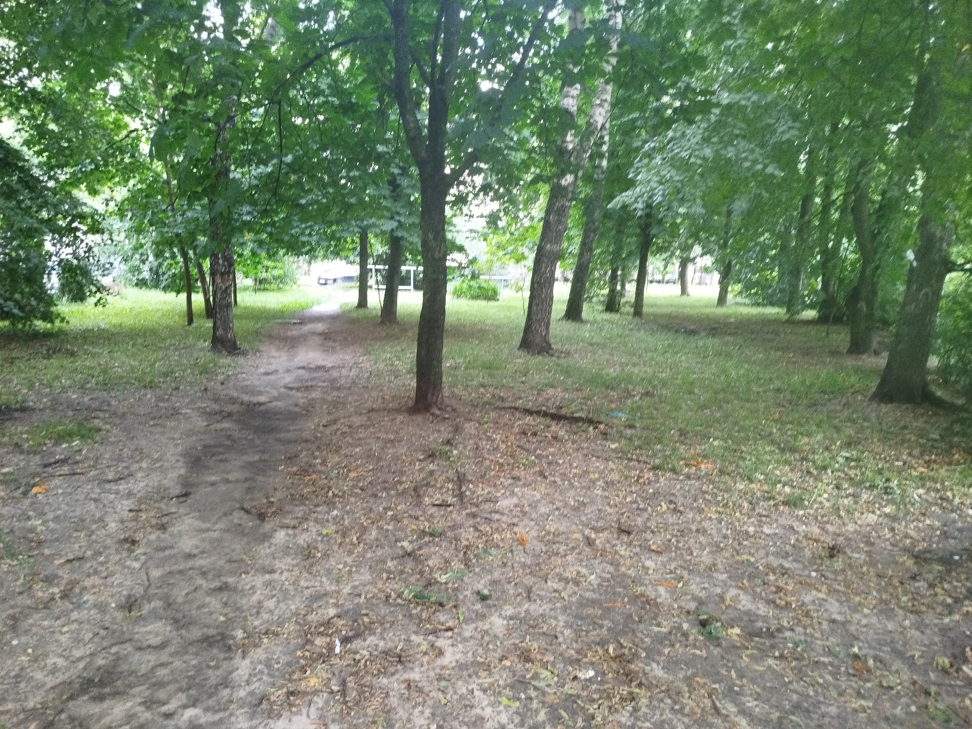 The image depicts a dirt path winding through a park-like setting with numerous trees and green grass. The path is made of dirt and scattered with fallen leaves and small twigs. Several trees, with visible trunks and green foliage, line the path on both sides. The trees vary in size and species, with some appearing to be birch trees due to their white and black bark. The ground is covered in grass and a layer of fallen leaves. In the background, through the trees, there are glimpses of what appear to be buildings or structures. The lighting suggests an overcast or shaded environment, with soft, diffused light. The overall scene is one of a natural, outdoor environment within an urban area.