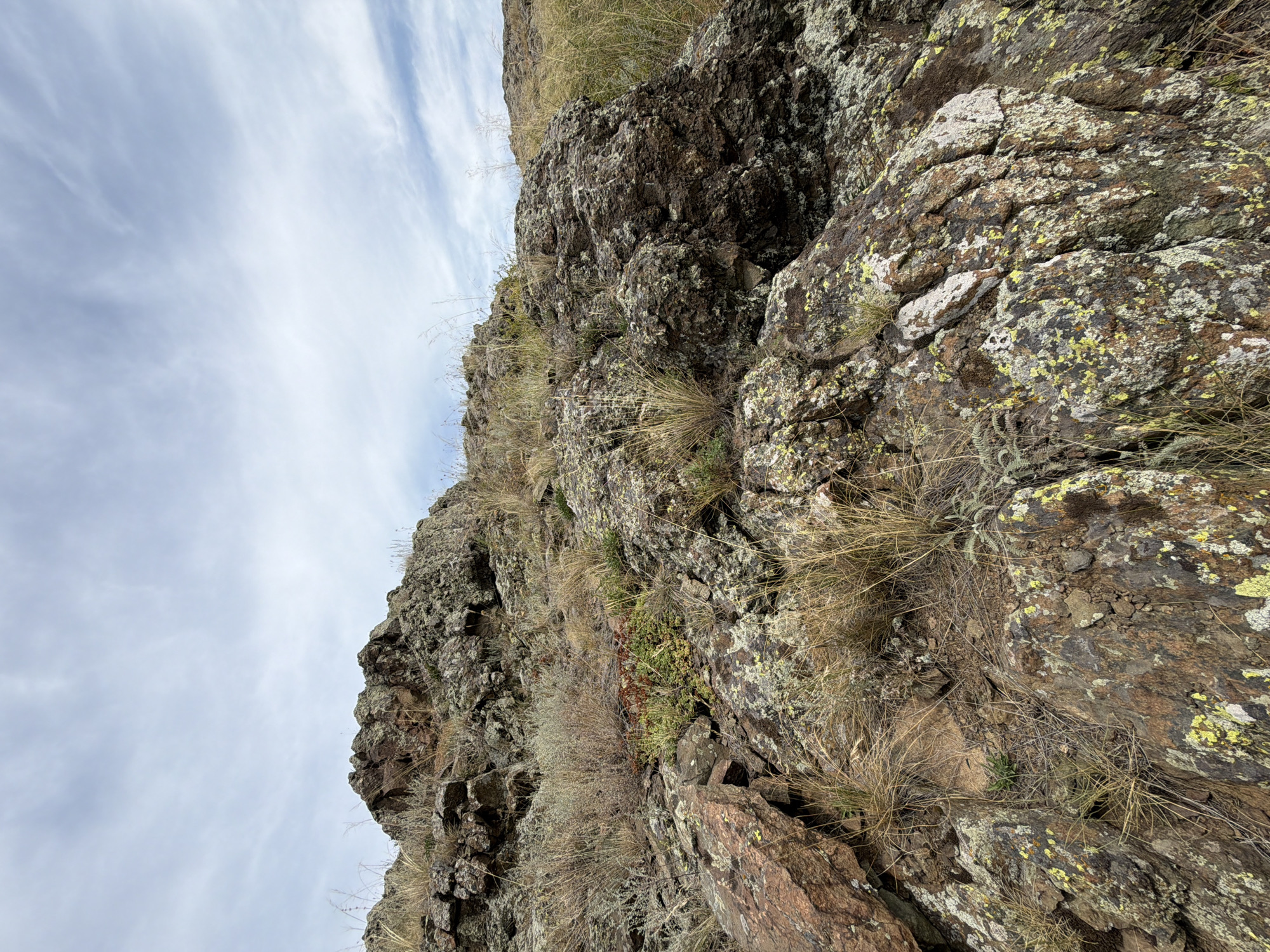 The image depicts a rocky, uphill landscape with sparse vegetation under a cloudy sky. The foreground is dominated by rough, textured rocks in various shades of brown and gray, with patches of green and yellow lichen. Dry, straw-like grasses and low-lying green plants are scattered amongst the rocks, indicating a semi-arid environment. In the background, the terrain continues to rise, forming a rugged hillside covered in similar rocky formations and vegetation. The sky is overcast with thin, wispy clouds, suggesting a day with diffuse light. The scene is devoid of human presence or any man-made objects, portraying a natural, untamed environment. The specific location in Kuseevo, Russia, implies this is likely a natural preserve or undeveloped rural area.