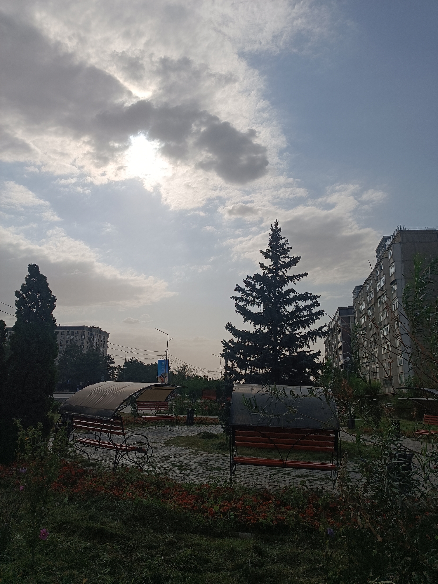 The photograph captures an outdoor scene on a cloudy day, likely in the city of Bishkek, Kyrgyzstan. The sky is a mixture of grey and blue, with the sun partially obscured by clouds, casting a soft light. In the foreground, a park-like area is visible, featuring several benches with red wooden seats and dark metal frames. These benches are arranged on a paved walkway made of grey cobblestones. The area is lined with greenery, including manicured grass and flower beds with red and orange foliage, as well as a few scattered purple flowers.
Dominating the mid-ground is a tall, dark green coniferous tree, likely a spruce or fir, standing prominently against the sky. To the right of the tree, a multi-story apartment building with numerous windows is visible, suggesting an urban environment. Further to the left and in the background, other residential buildings and trees are present. Streetlights and utility poles are also scattered throughout the scene, indicating the presence of infrastructure. The overall impression is a public space, possibly a residential courtyard or a small park, in a city setting.