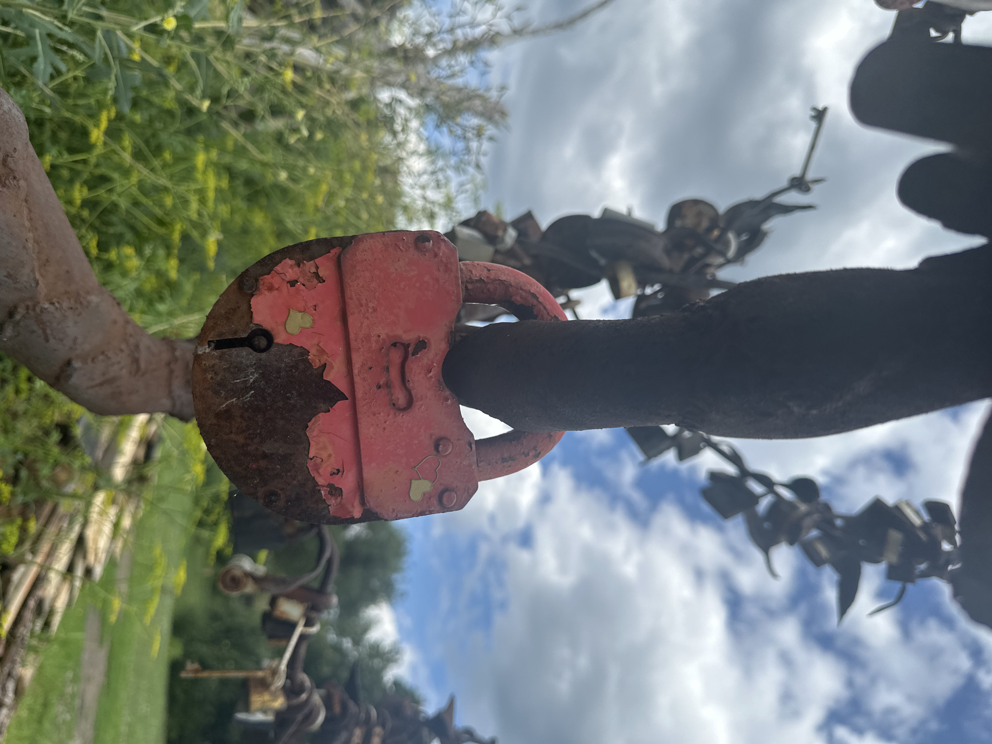 The image shows a close-up of a rusted red padlock hanging from a metal structure, possibly an art installation or memorial. The padlock is weathered, with paint peeling off and rust visible underneath. In the background, a cloudy sky is visible, with hints of greenery and yellow wildflowers. The overall impression is one of a rustic, outdoor setting. While the specific location in Danilovka, Altai Krai, Russia, cannot be confirmed from the image alone, the context suggests a public outdoor space, potentially a park or a memorial site where locks are placed. There are no people or animals visible in the image.