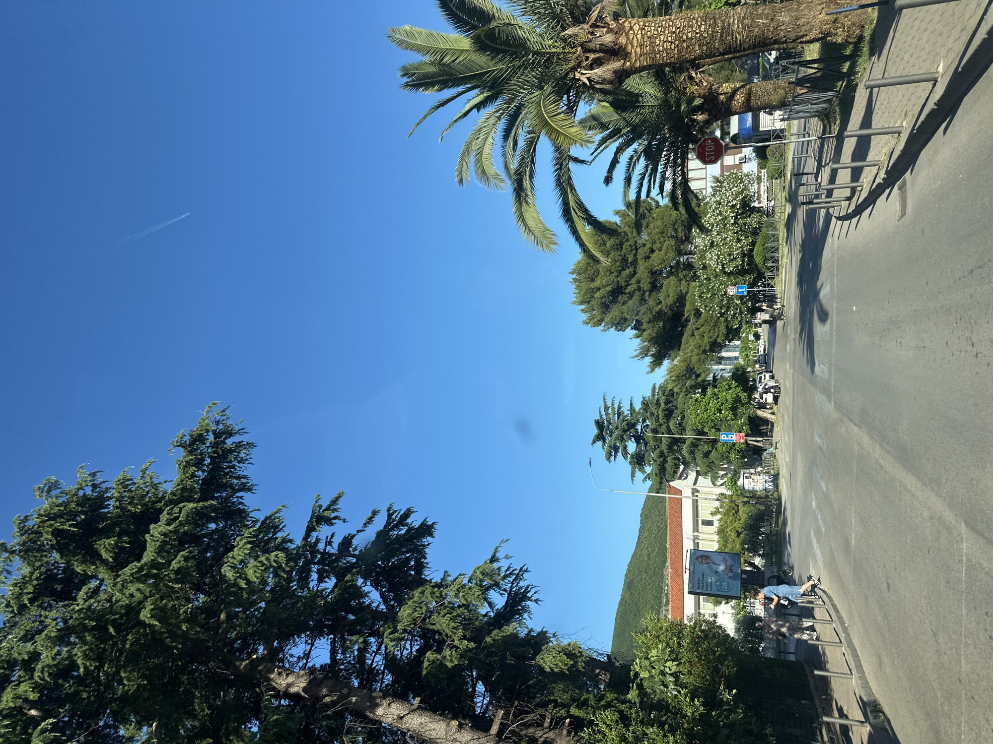 The image depicts a street scene in Budva, Montenegro. The view is taken from ground level looking down a paved road. On the right side of the road is a sidewalk lined with metal bollards, a palm tree, and a stop sign. On the left, there are large evergreen trees and a view towards a building with a terracotta roof, an advertisement display, and what appears to be a mountain in the background. A person dressed in blue is present on the sidewalk. In the blue sky, there is a contrail left by a jet.