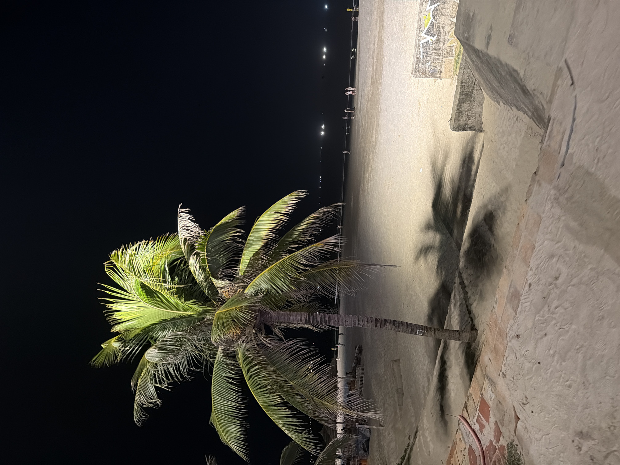 This is a nighttime, eye-level, medium shot of a palm tree on a sandy beach in Da Nang, Vietnam. The palm tree, which is the main subject, is located in the foreground, slightly left of center. Its fronds are illuminated from above, creating a striking contrast against the dark night sky. A long, distinct shadow of the palm tree is cast across the sand.
The beach itself is sandy and appears to be relatively flat. In the middle ground, there are several small groups of people, some walking along the shoreline, while others appear to be gathered. Further in the distance, a line of lights is visible along the horizon, suggesting a developed area or a coastline with structures.
The foreground includes a textured sandy path with some brickwork on the left, leading towards the beach. There are also concrete structures and a wall with graffiti on the right side of the image. The overall atmosphere is serene and tranquil, typical of a beach scene at night.