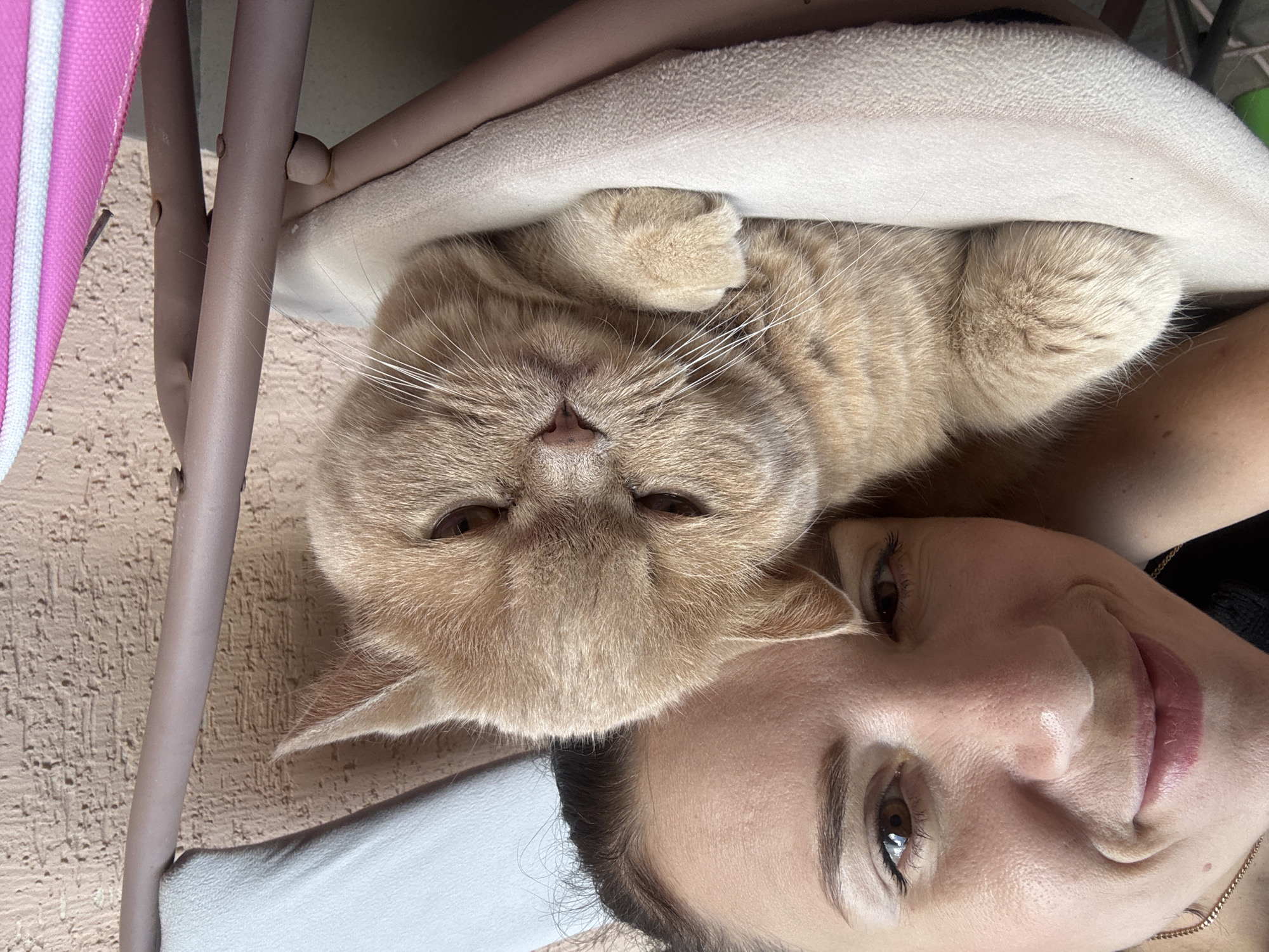 An overhead medium shot captures a woman and a ginger cat nestled together on a padded chair. The woman, with her face tilted and a warm smile, rests her head against the cat's back. Her eyes are closed, and her lips are slightly parted, giving the impression of contentment. The cat, a British Shorthair with a plush orange coat, lies on its side, its body partially obscured by the woman's head. Its ears are slightly flattened, and its eyes are narrowed, giving it a somewhat grumpy yet endearing expression. The cat's paws are tucked beneath its body, and its tail is curled around its body. The background consists of a textured wall and a chair with a light-colored seat and a brown frame. A bright pink backpack with white stripes is partially visible on the right side of the frame. The scene appears to be outdoors, possibly in a garden or patio area.