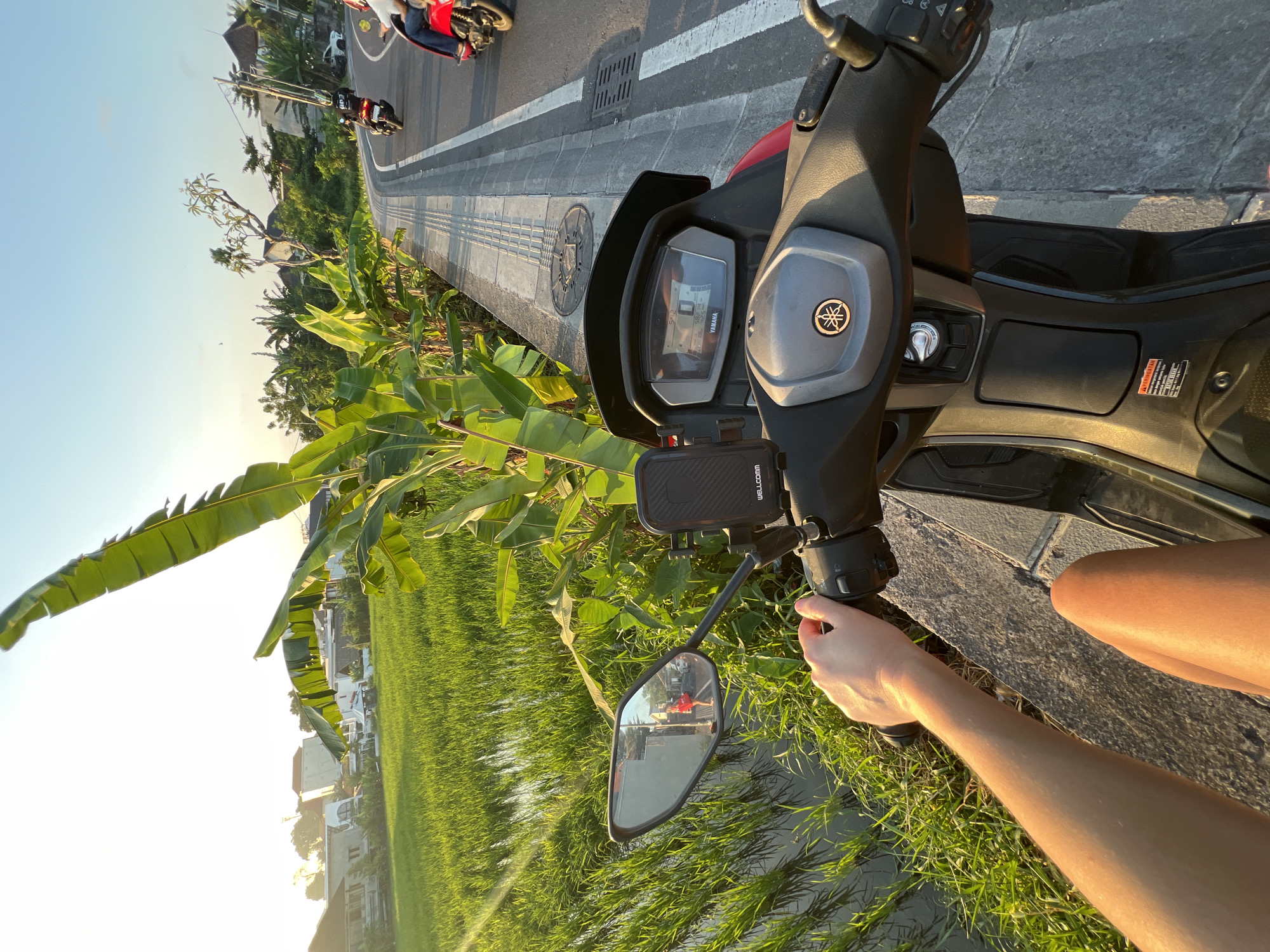 The image, taken from a first-person perspective on a motorcycle, shows a view of a roadside in what appears to be North Kuta, Indonesia. The time of day is late afternoon or early evening, indicated by the warm, golden sunlight casting long shadows and illuminating the scene with a soft glow. Lush green rice paddies stretch out to the left of the road, bordered by a narrow waterway and tall grass. Banana trees with their large, distinct leaves are prominent in the foreground, with their fronds reaching out towards the viewer.
In the background, the scene depicts a mix of modern and traditional architecture, with white buildings and some glimpses of vegetation. The road itself is paved, with a distinct tactile paving system for the visually impaired running along the edge. A few motorcycles are visible on the road, suggesting a typical day with local traffic.
The focus of the image is the motorcycle's handlebars and dashboard. A phone mount is attached to the handlebars, holding a black smartphone. The dashboard displays the time as "5:42" and the "YAMAHA" logo is prominently featured. The rider's arm and hand are visible on the right side of the image, gripping the handlebar, implying they are either stopped or about to move. The overall mood is tranquil and scenic, capturing a moment of riding through a picturesque rural landscape bathed in the warm light of the setting sun. No overt emotions are conveyed, but the scene suggests a peaceful journey. The visible text on the motorcycle includes "YAMAHA" on the dashboard and a warning sticker with Indonesian text on the lower right body panel.