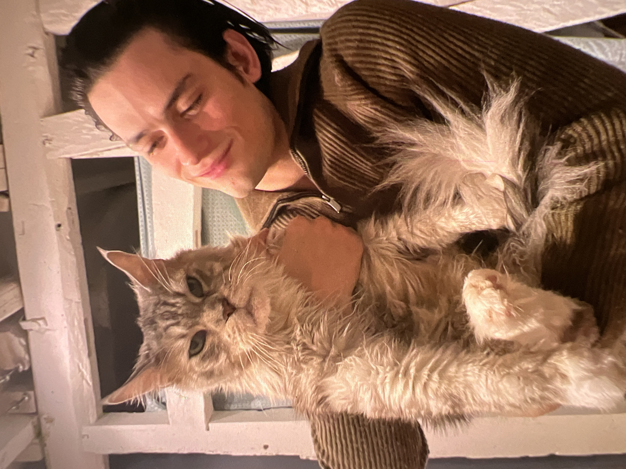 A young man with dark, slicked-back hair is holding a large, grey, long-haired cat. The man is wearing a brown, corduroy zip-up jacket and is smiling as he looks down at the cat. The cat, which appears to be a Maine Coon breed, has green eyes and a slightly grumpy expression. Its fur is somewhat messy. The background is out of focus but suggests an indoor setting with a window frame visible. There are no specific details that would indicate a location in Verona, Italy.