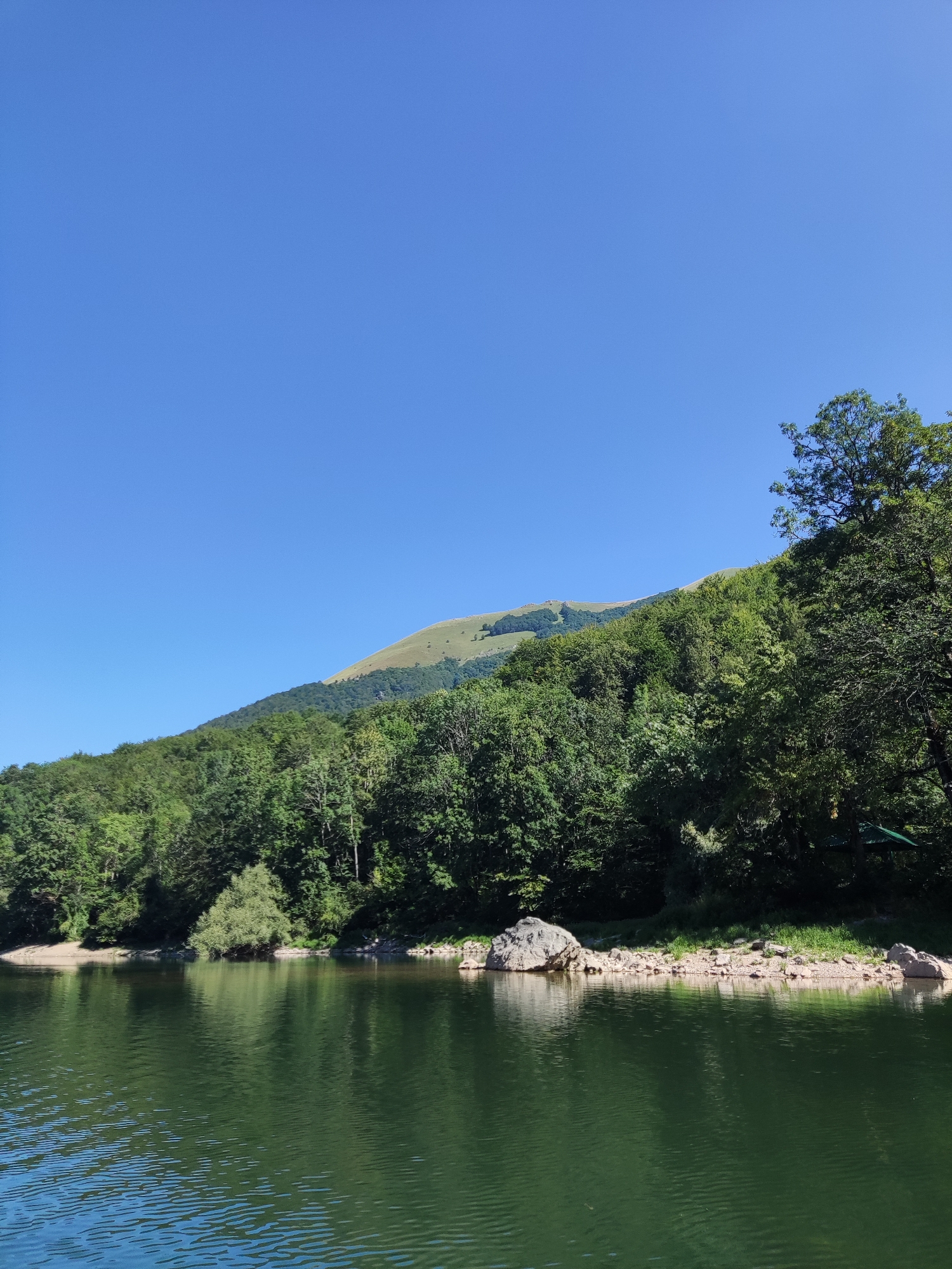The image shows a scenic view of a calm lake with a forested mountain in the background under a clear blue sky. The lake's surface is a deep green, reflecting the surrounding trees and sky with gentle ripples. The shoreline is lined with a mix of sand, rocks, and lush green vegetation. The mountain slopes are covered in dense green trees, gradually transitioning to a lighter green and brown as they rise towards the summit, which appears to be a grassy peak. The overall scene evokes a sense of natural tranquility and vastness, suggesting an outdoor, natural environment possibly in a mountainous region. The location is identified as Unknown, Montenegro.