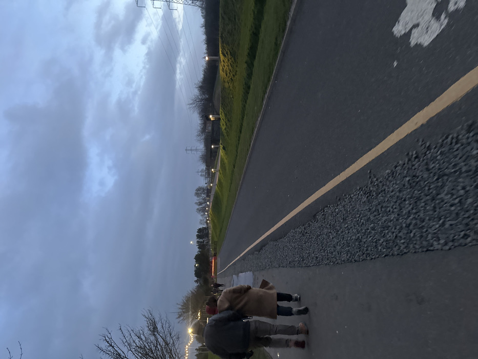 The image depicts a multi-use path and adjacent road at dusk within Helix Park, Falkirk, United Kingdom. Two individuals walk away from the camera on a dark grey paved path on the left. The person on the left wears a dark jacket, light trousers, and a dark cap. The person on the right wears a light brown long coat and a red hat, carrying a dark bag. A strip of grey gravel separates the paved path from a darker grey asphalt road on the right, which features a single yellow painted line.
To the left of the path, bare tree branches are visible, with strings of small, illuminated white lights draped overhead. Further down the path, indistinct figures are visible in the distance. Along the right side of the road, a green grassy embankment slopes upwards, illuminated by a series of cylindrical, upward-glowing bollard lights spaced at regular intervals. Beyond the embankment, dark trees and bushes are present. A faint reddish-orange glow is visible on the road in the mid-distance, and a dark structure, possibly an underpass or bridge, is seen beneath the embankment, also with illumination. In the far background, multiple tall metal electricity pylons and power lines stand against an overcast, blue-grey sky.