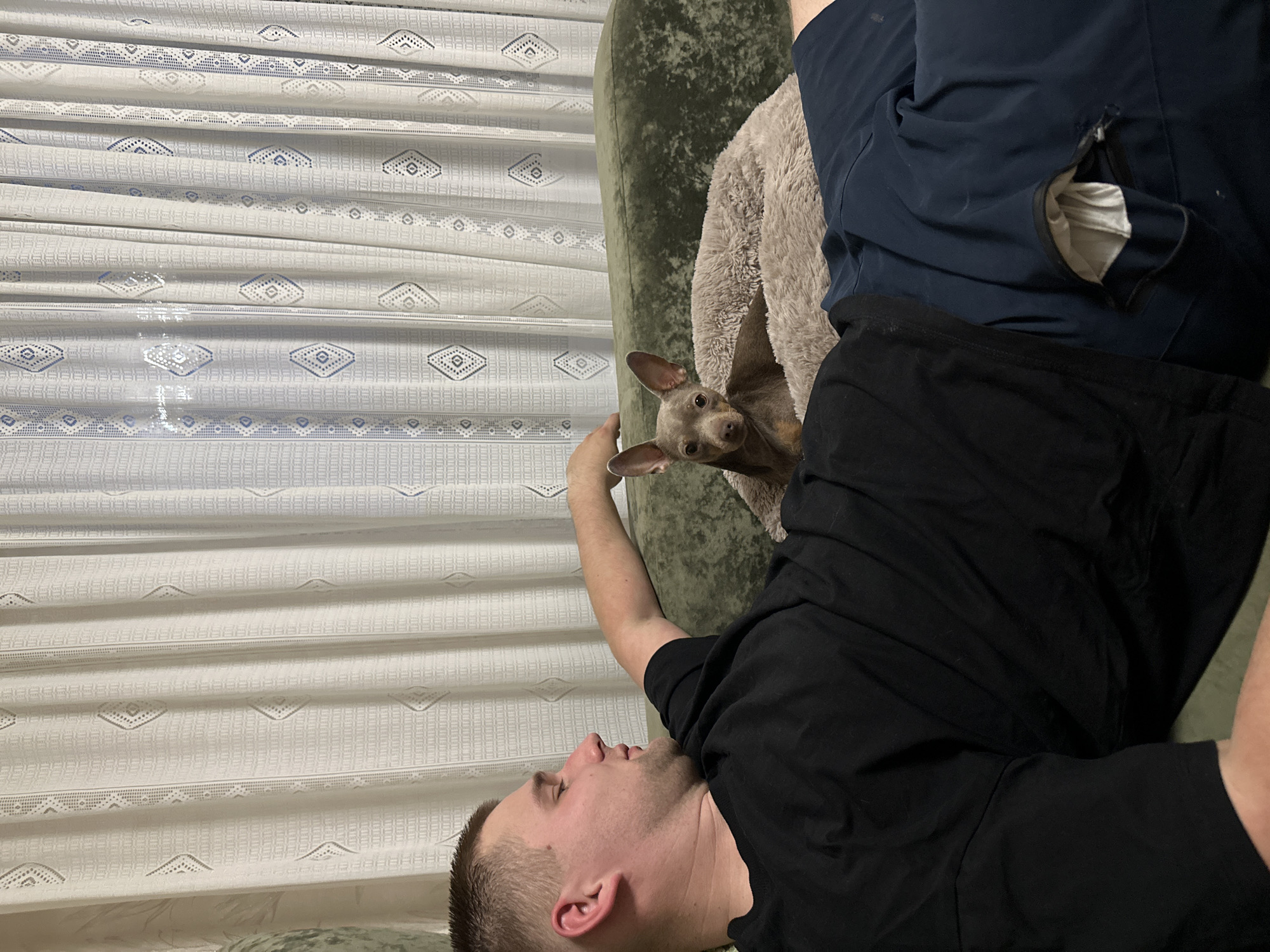 A man is lying on a green couch in what appears to be a home interior. He is wearing a black t-shirt and blue shorts. A small, gray dog is nestled in a beige, fluffy pet bed next to him on the couch. A patterned white curtain is visible in the background. There is no information to conclude the image was taken in Посёр, Russia.