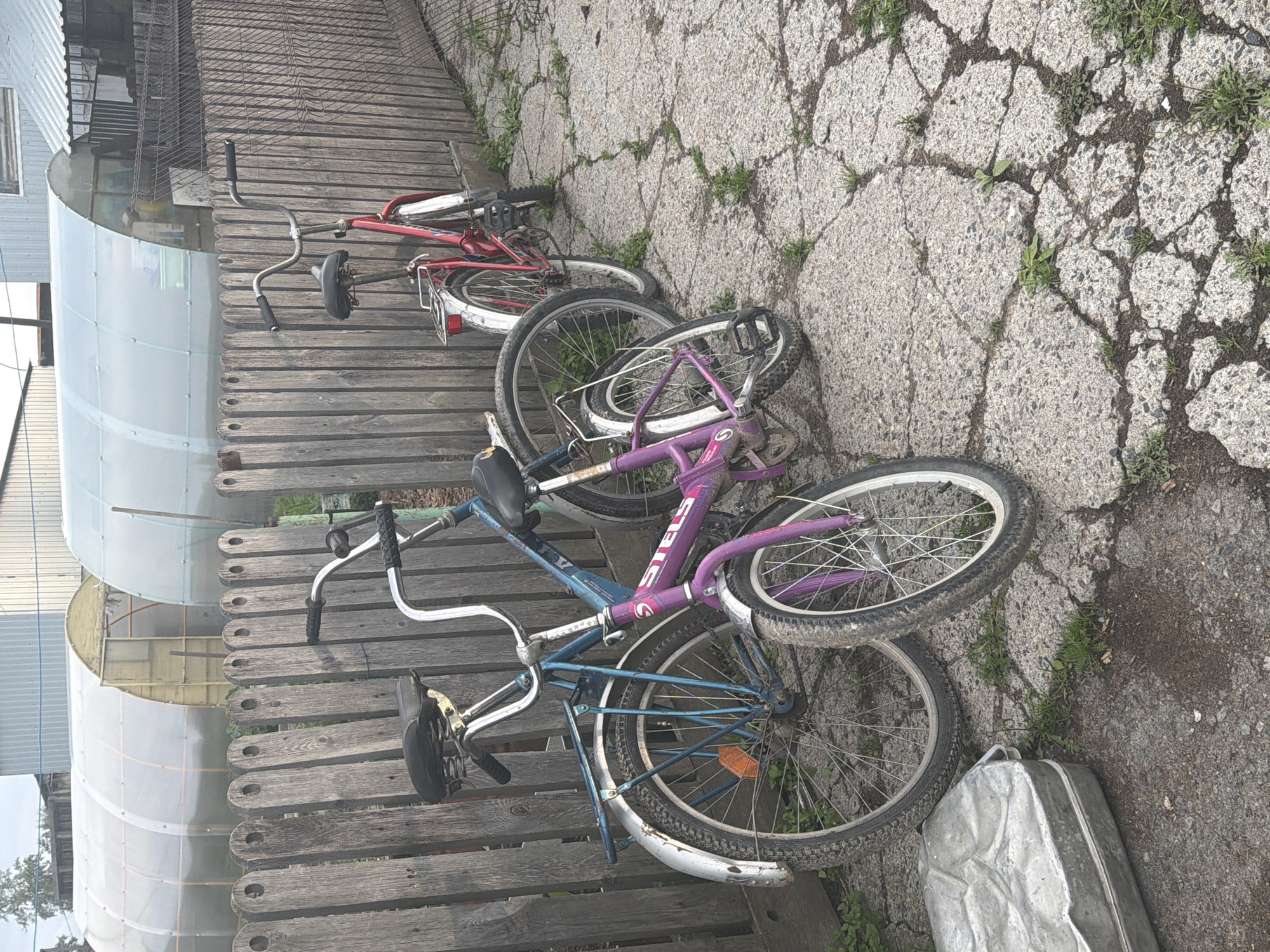 An outdoor scene depicts three bicycles parked near a weathered wooden fence. The bicycles are of varying sizes and colors: one is red, one is blue, and a smaller one is purple. The red bicycle is leaning against the fence, and its front wheel is partially obscured. The blue bicycle is positioned in front of the red one, also leaning against the fence, with its larger wheel prominent in the foreground. The purple bicycle is a child's bike, leaning in front of the blue one. A cracked concrete surface with patches of grass surrounds the bicycles. In the background, a series of greenhouses with transparent coverings are visible, along with a metal structure. To the left of the bicycles, a large, dented, rectangular metal object is present. The lighting suggests it is daytime, with overcast skies.
