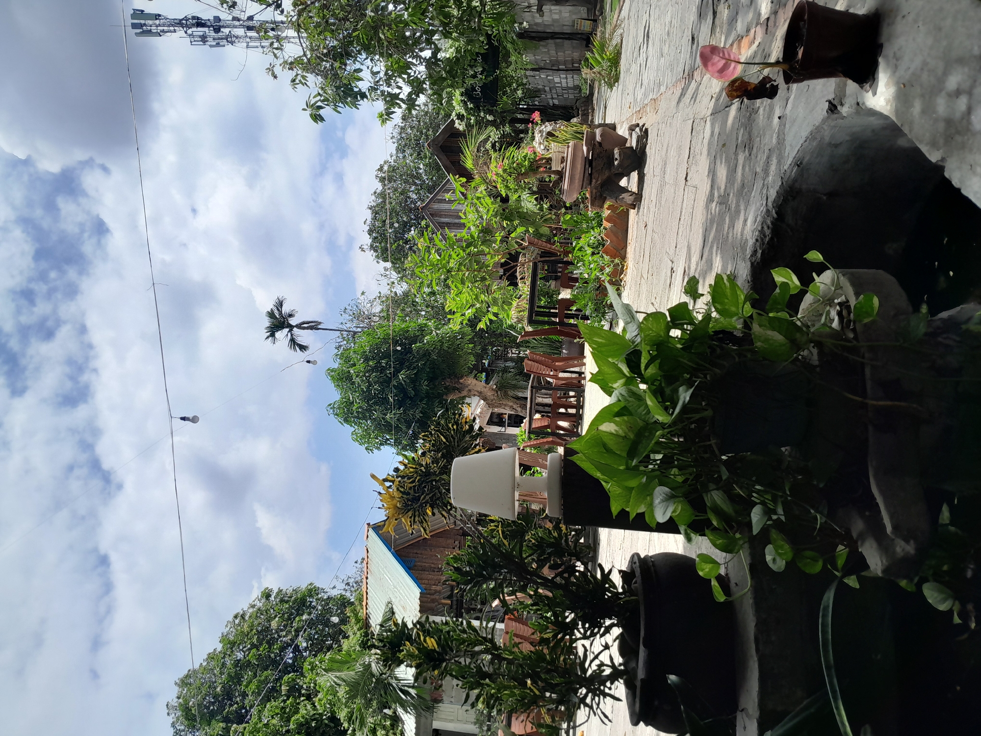 The image depicts an outdoor cafe or restaurant area, likely located in Phan Thiet Ward, Vietnam, given the context. The scene is characterized by lush greenery and a relaxed, rustic ambiance. In the foreground, several potted plants, including a vibrant green vine with heart-shaped leaves, are prominent. A white lampshade on a dark stand sits amidst the foliage.
The background reveals more of the establishment, with several small wooden huts with corrugated metal roofs. An outdoor seating area with tables and chairs is visible, suggesting a place for dining or socializing. A paved walkway made of stone slabs runs through the scene.
In the distance, a telecommunications tower stands tall against a partly cloudy sky. The presence of overhead string lights, some with visible bulbs, indicates this area is likely illuminated at night. The overall environment suggests a tropical or subtropical climate, with dense foliage and natural elements integrated into the man-made structures. There are no people visible in the image.