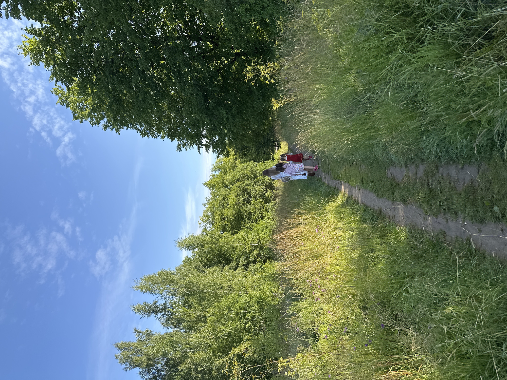 In Slantsy, Russia, on a sunny day, a group of three people, likely a mother and her two daughters, walks along a dirt path through a grassy area. The mother, dressed in white, leads the way, followed by two young girls. One girl wears a pink dress, and the other a red dress. The path is bordered by tall, green grass and wildflowers, with trees lining the edges of the path and a dense forest in the background. The sky above is a clear blue with scattered white clouds. The scene suggests a peaceful outing in nature.