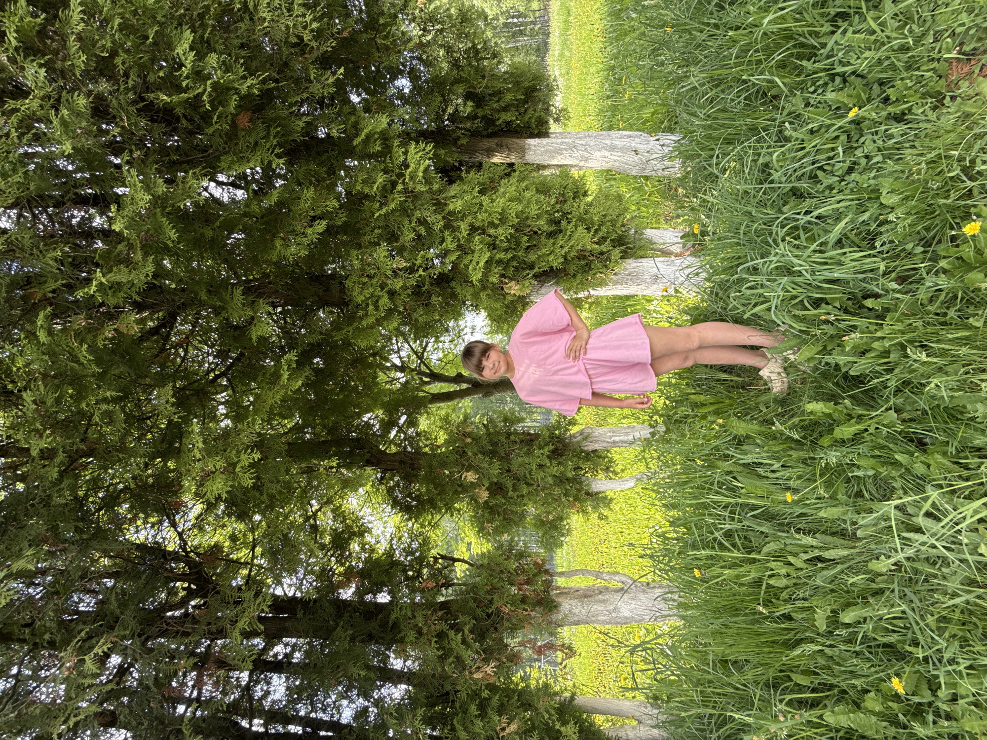A young girl stands in a grassy field in Unknown, Unknown. She is wearing a pink dress. Trees with white trunks are visible in the background. The grass is long and green.