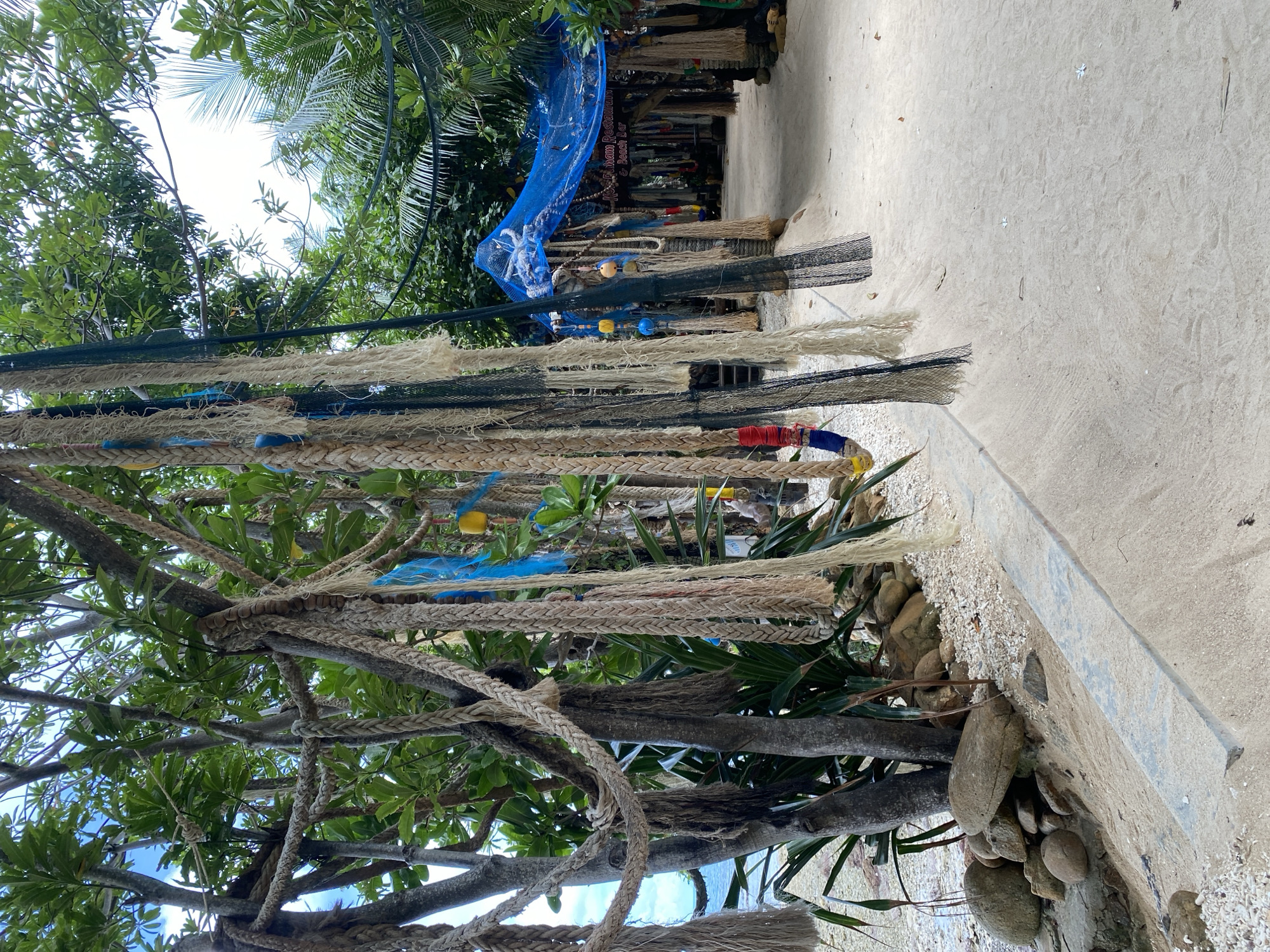 The image depicts an outdoor scene on a sandy beach, likely in ตำบลเกาะพะงัน, Thailand, given the lush tropical vegetation and beach bar signage. In the foreground, thick ropes and fishing nets hang from trees, creating a rustic, maritime aesthetic. Some of the ropes are braided and appear weathered, while the nets are dark and mesh-like. Small, colorful buoys and other decorative items are suspended among the ropes.
To the left, several large, smooth rocks are piled near the base of the trees, bordering a path. The path itself is made of sand and lined with a low, concrete border. Beyond the path, on the left side of the frame, a body of water, likely the ocean, is visible.
In the background, a structure is visible, partially covered by a bright blue tarp, suggesting it is a shelter or part of the beach bar. More ropes and nets are draped around this structure, further enhancing the beachside, nautical theme. The ground throughout the scene is sandy, with scattered pebbles and seashells. Lush green foliage and palm fronds dominate the upper portions of the image, indicating a tropical environment. The sky is overcast with some patches of blue. No people are visible in the frame.