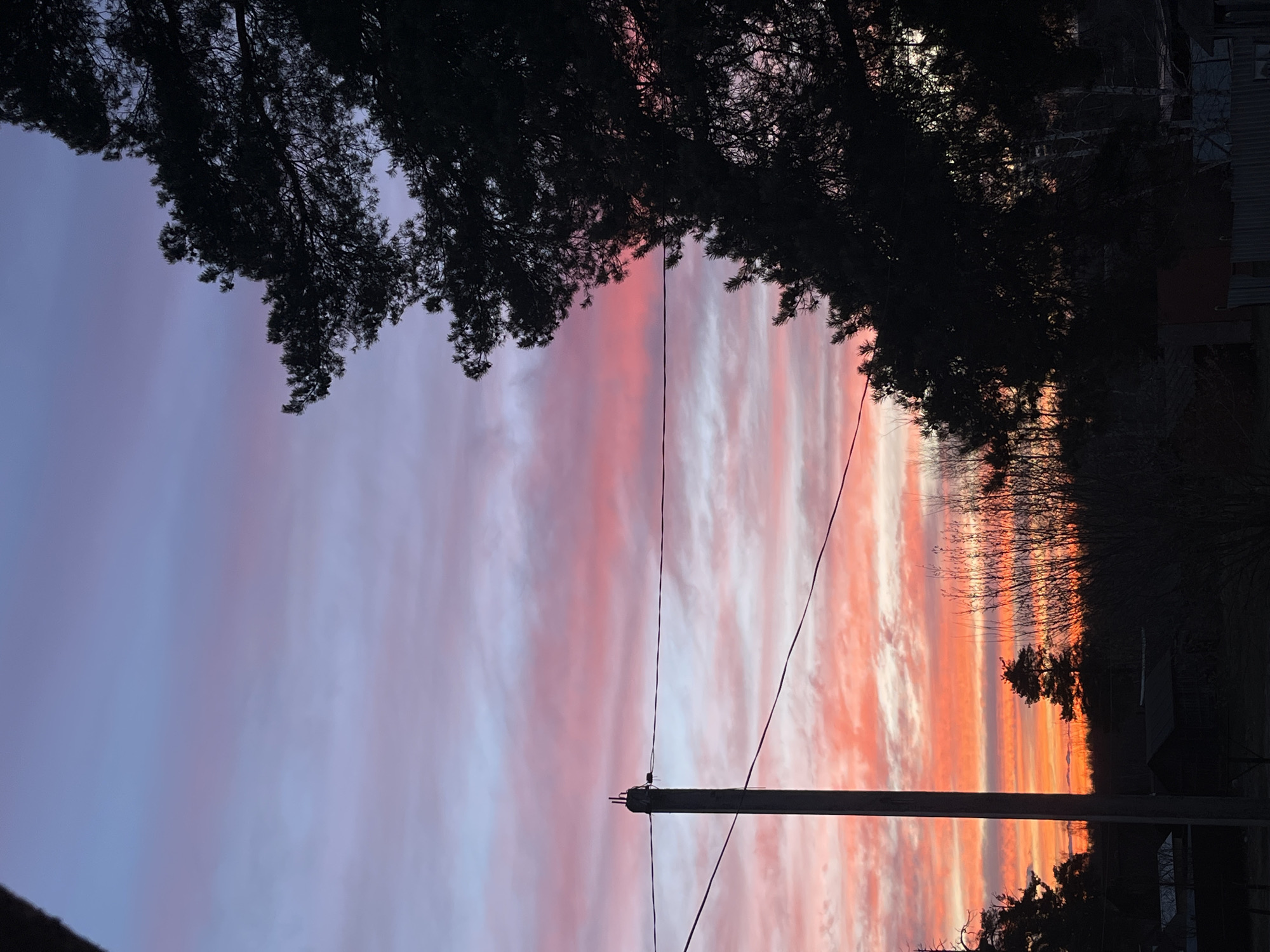 The image shows a sunset sky with clouds colored in shades of pink, orange, and blue. A power line pole stands in the foreground. Trees are visible at the top and right of the frame, silhouetted against the sky. The location is Раздолье, Russia.