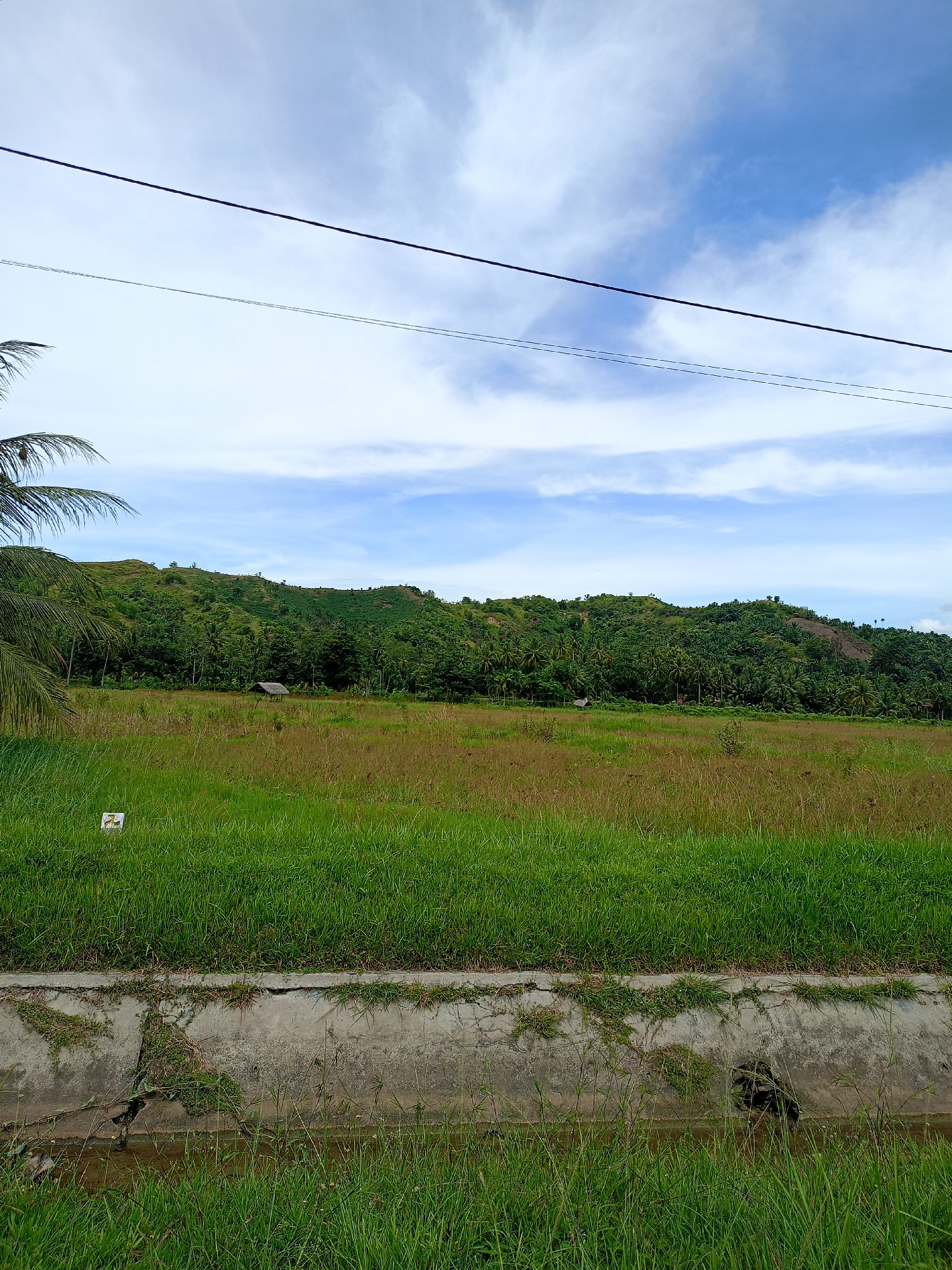 The image depicts a rural landscape in Seuneuboklhong, Indonesia. In the foreground is a concrete ditch with vegetation growing on it. Beyond the ditch is a field of tall grass, primarily green in the foreground, transitioning to brown in the distance. In the middle ground is a tree-covered hill. Two overhead power lines cross the upper portion of the image. The sky is light blue, partly cloudy with cirrus clouds.