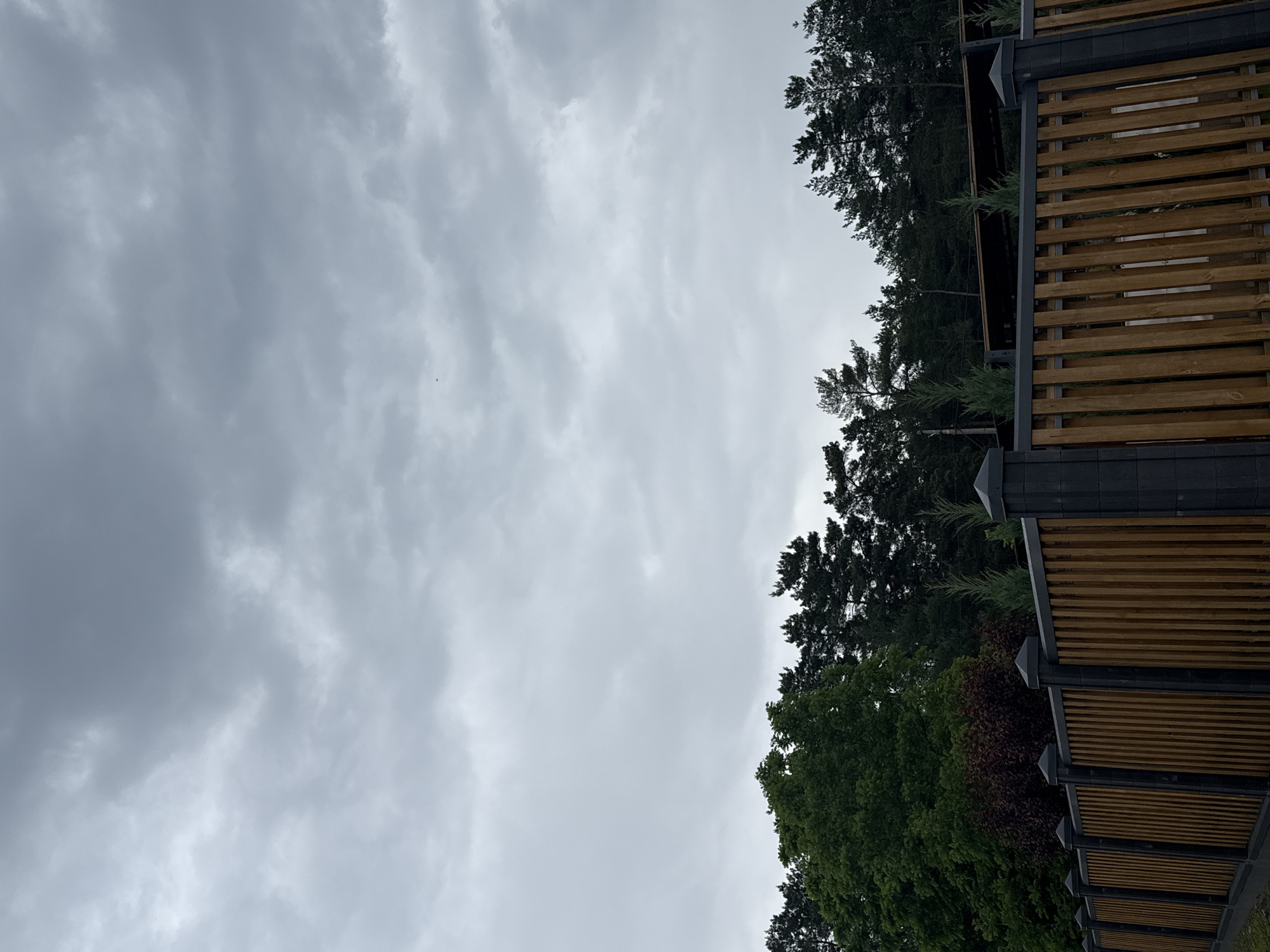 The image, oriented incorrectly, shows an outdoor scene dominated by an overcast sky. When viewed correctly, a dense line of trees and a modern wooden structure with dark metal framing are visible along the lower and right edges of the frame.
The upper portion of the image is filled with a cloudy, grey sky, suggesting an overcast day. The clouds appear thick and uniform, without clear patches of blue. Two tiny, dark specks, possibly birds or insects, are visible against the sky in the central left and upper right areas.
Along the bottom and right side, a row of varied trees forms a natural boundary. Some trees have dark green, dense foliage, possibly conifers, while others show lighter green leaves. A section of trees with reddish-brown foliage is also visible.
In the lower right quadrant and extending along the right edge, a modern architectural structure is prominent. It features vertical dark grey or black metal posts and horizontal wooden slats, forming a repetitive, open pattern, resembling a pergola or a decorative fence/wall. Small, bright green evergreen plants or shrubs are integrated into the structure, appearing to grow from or be placed on top of its dark metal beams. The structure is well-maintained and appears to be made from high-quality materials.
There is no discernible activity or any people in the image. The time of day is daytime, but the heavy cloud cover prevents strong shadows or bright sunlight. No text is visible. The scene evokes a calm, perhaps slightly subdued, atmosphere in Obukhivka, Ukraine.